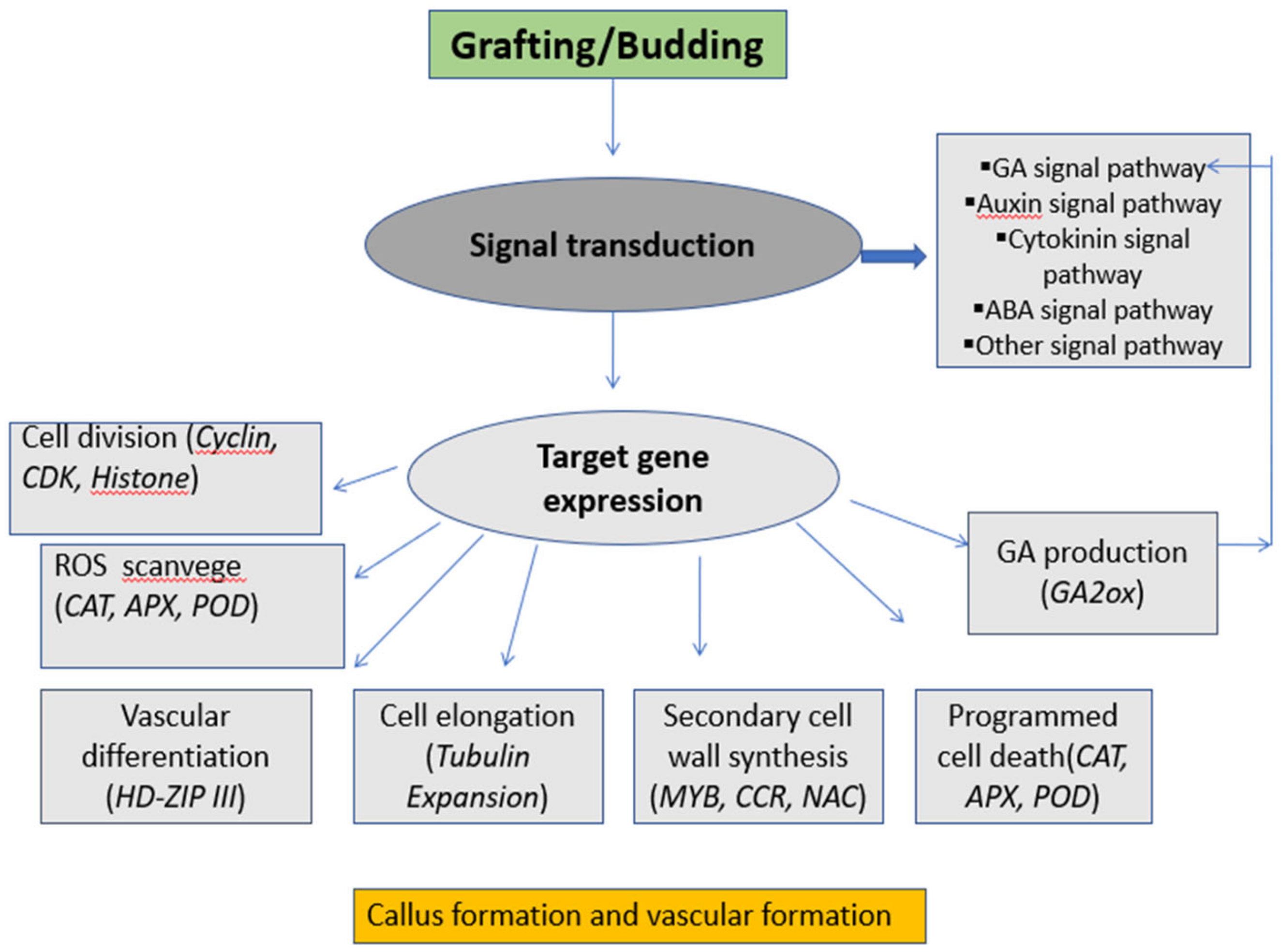 Agriculture 12 02036 g002