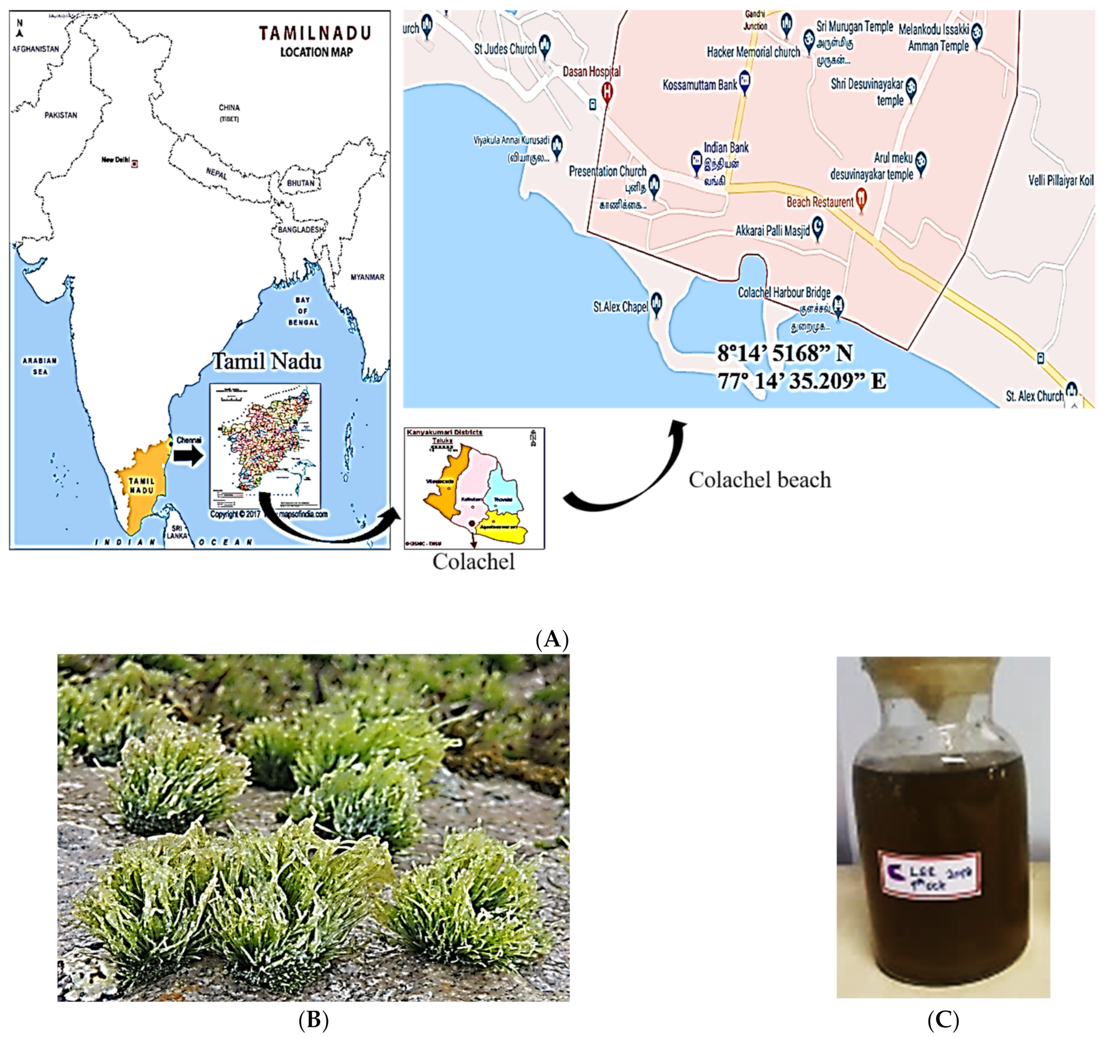 Agriculture 12 02049 g001 Agriculture 12 02049 g001