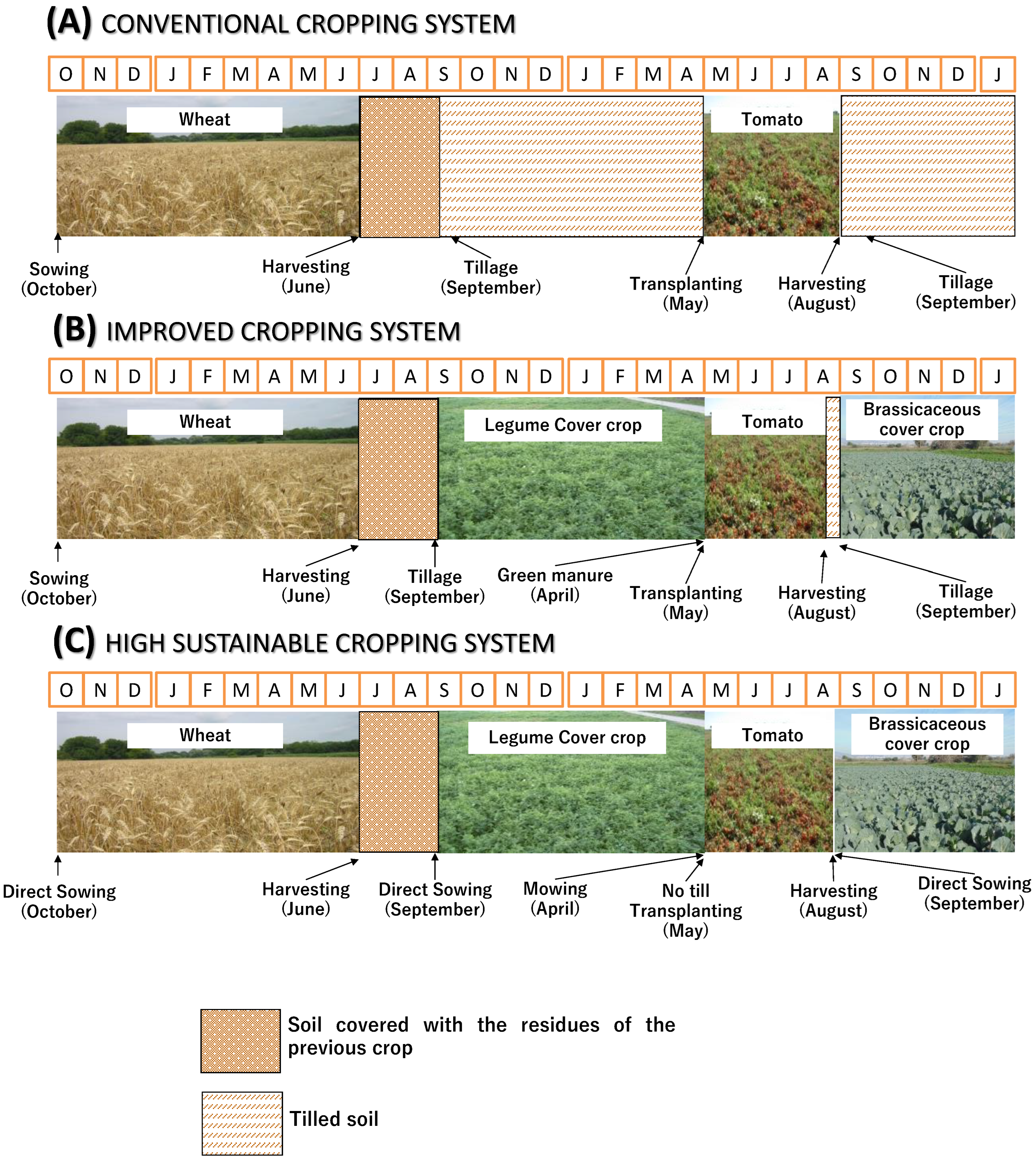 Agriculture 12 02076 g001