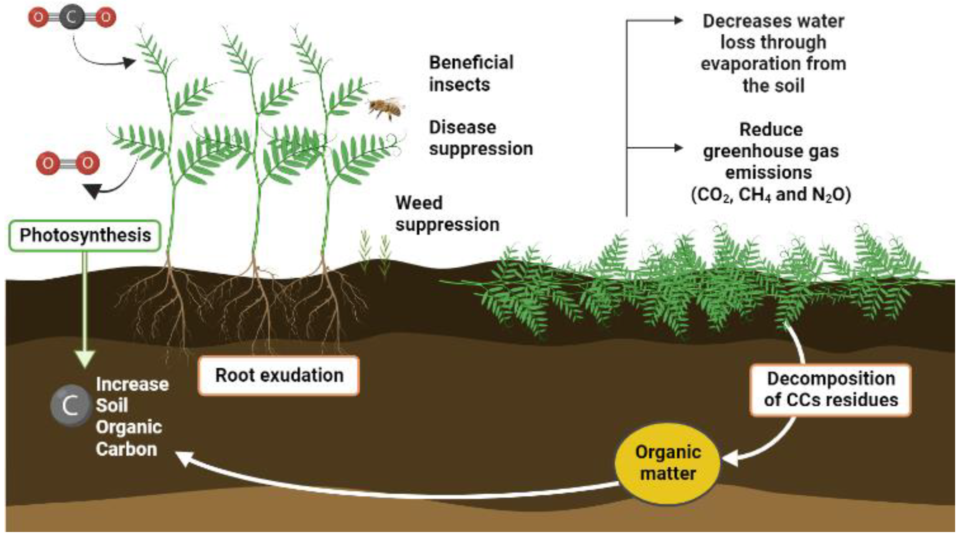 Agriculture 12 02076 g003