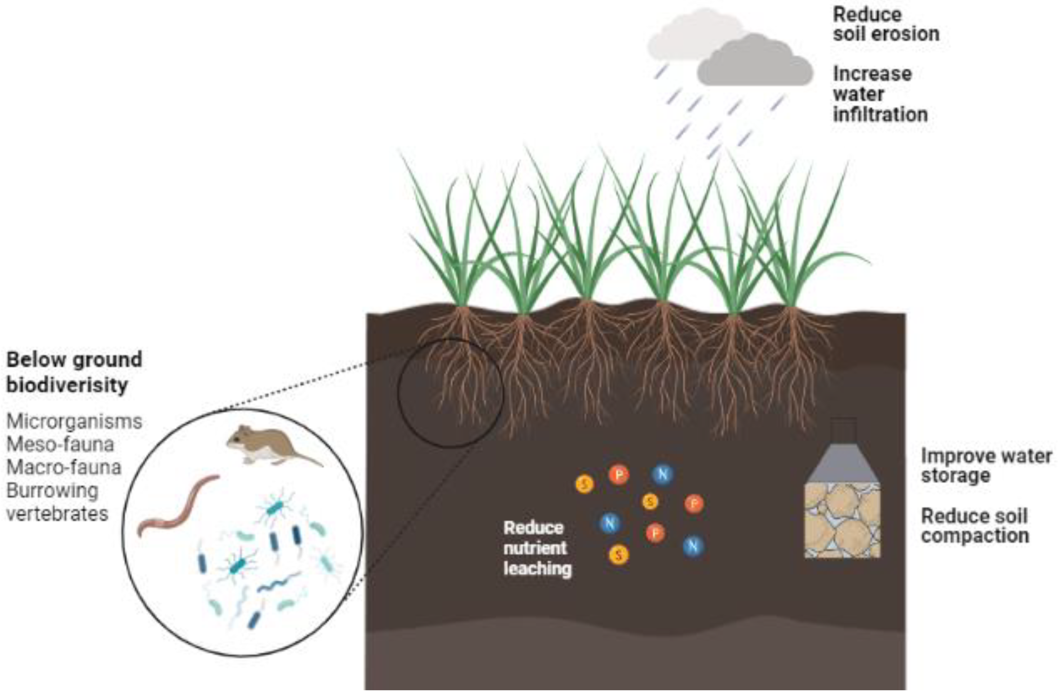 Agriculture 12 02076 g004