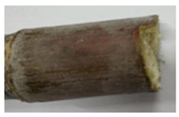 Agriculture 12 02078 i002