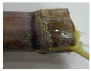 Agriculture 12 02078 i005