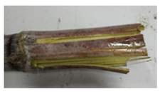 Agriculture 12 02078 i009