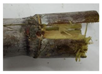 Agriculture 12 02078 i013