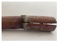 Agriculture 12 02078 i014