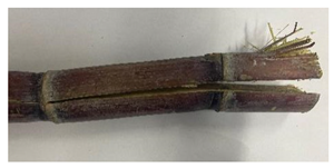 Agriculture 12 02078 i016