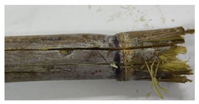 Agriculture 12 02078 i017