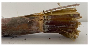 Agriculture 12 02078 i018