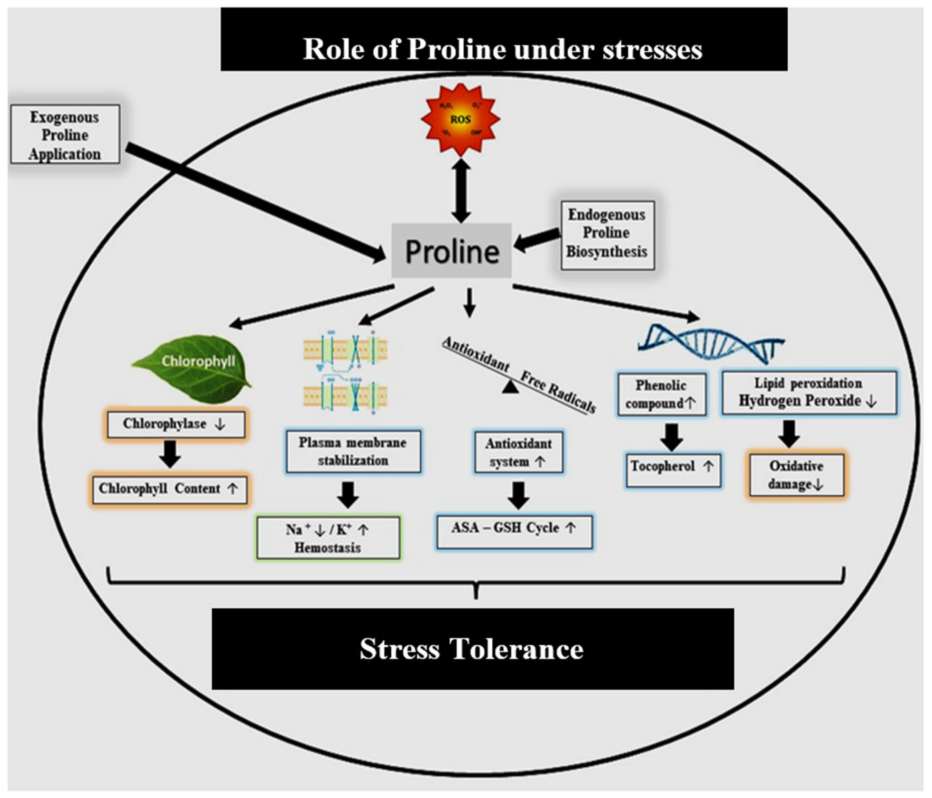 Agriculture 12 02084 g002 Agriculture 12 02084 g002