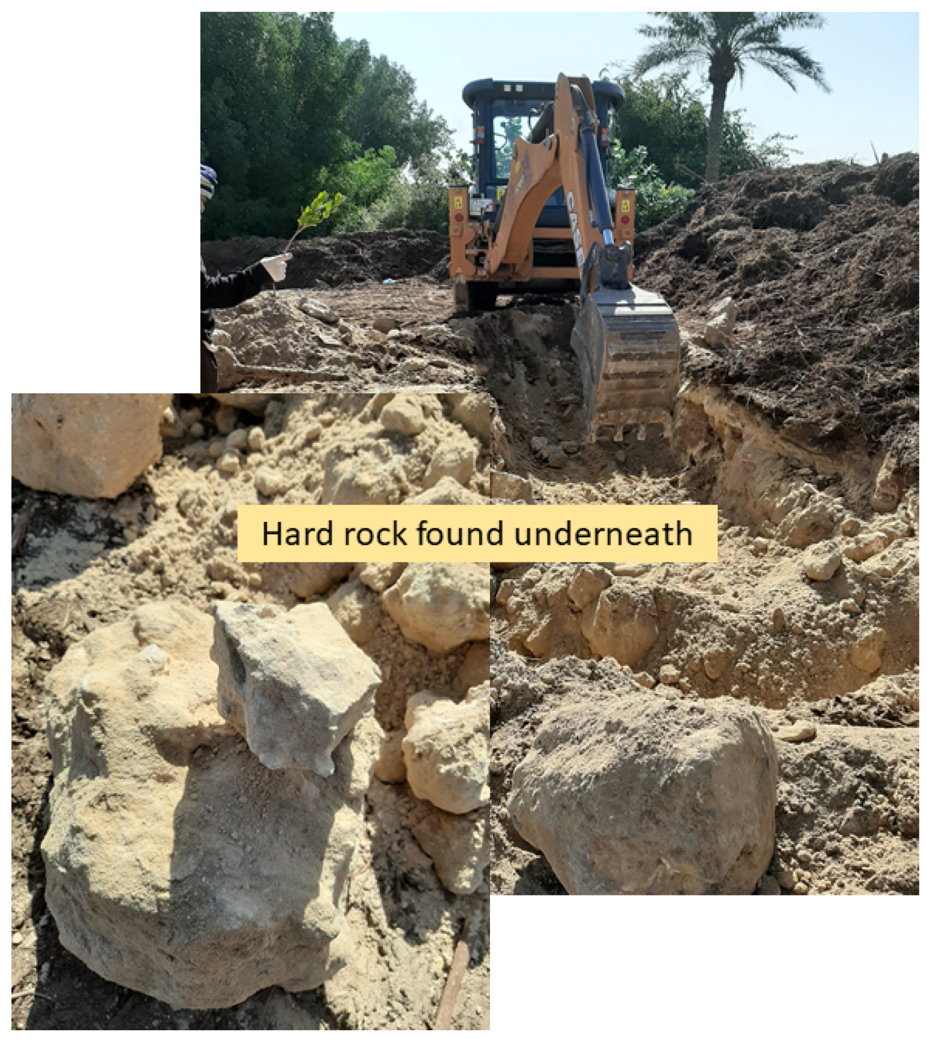 Agriculture 12 02094 g004 Agriculture 12 02094 g004