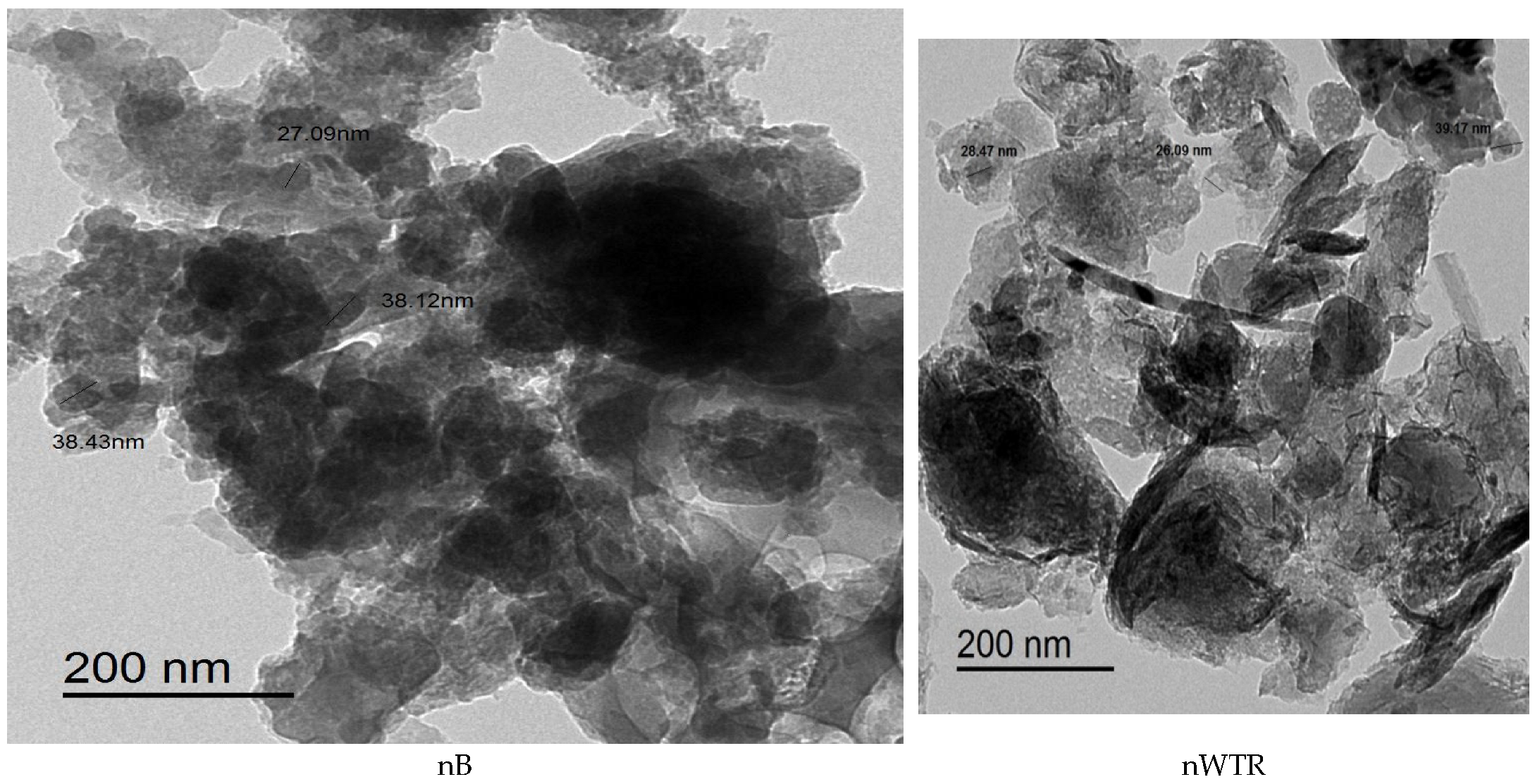 Agriculture 12 02096 g002