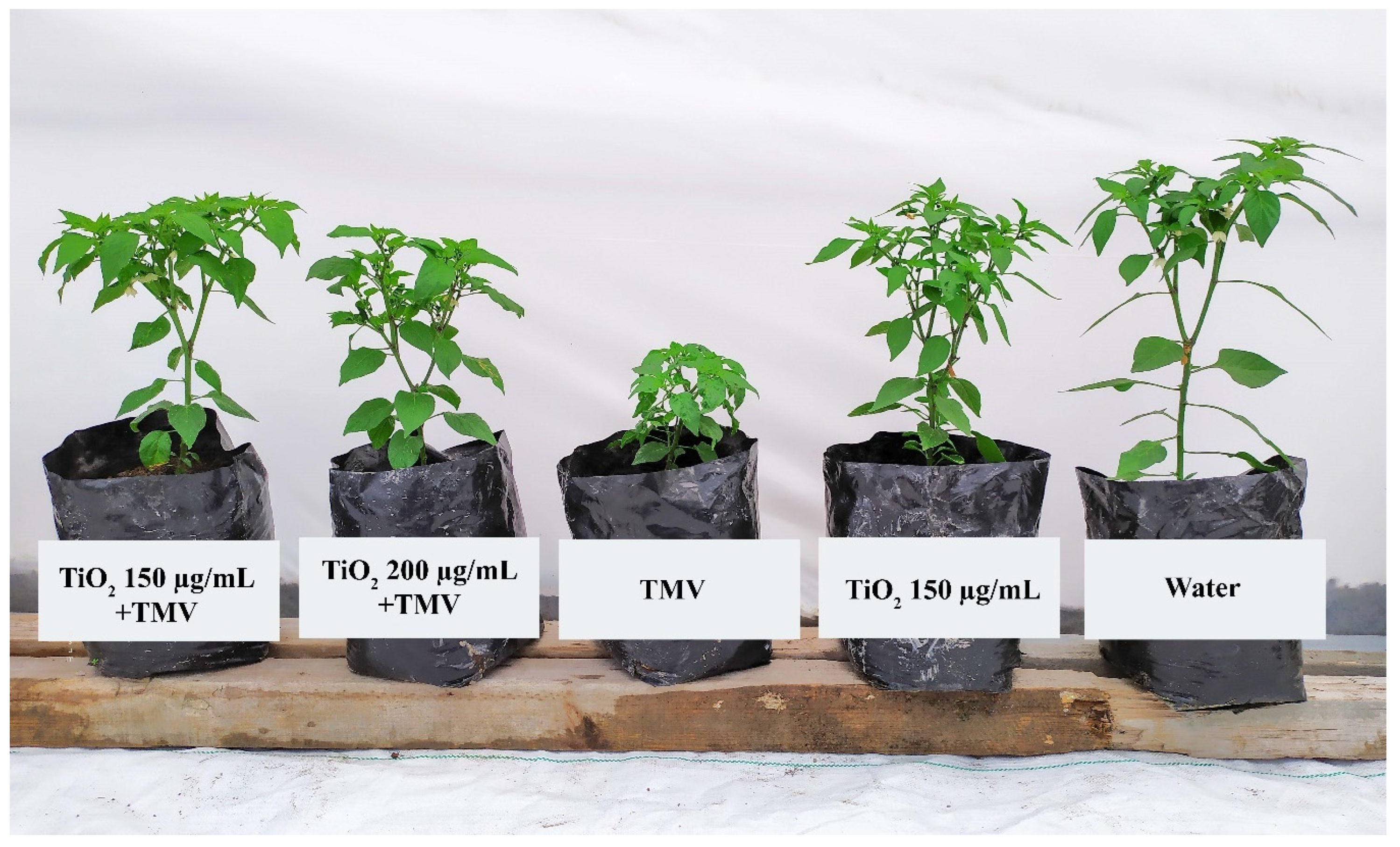 Agriculture 12 02101 g003