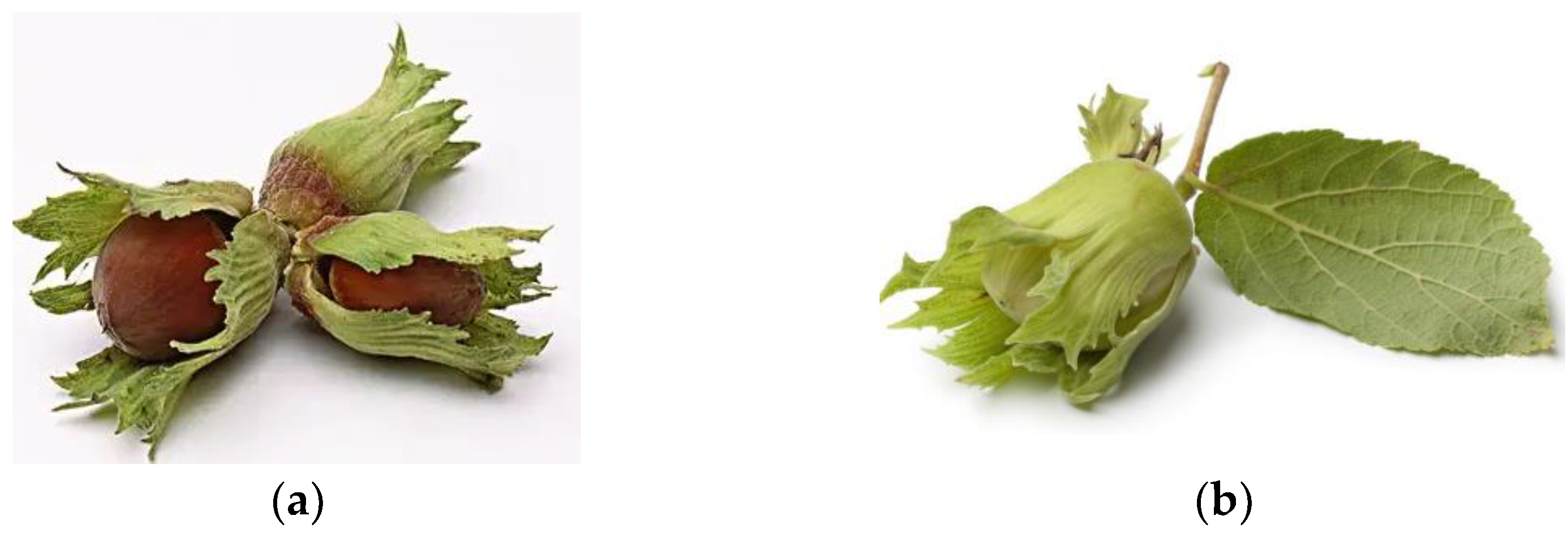 Agriculture 12 02115 g001 Agriculture 12 02115 g001