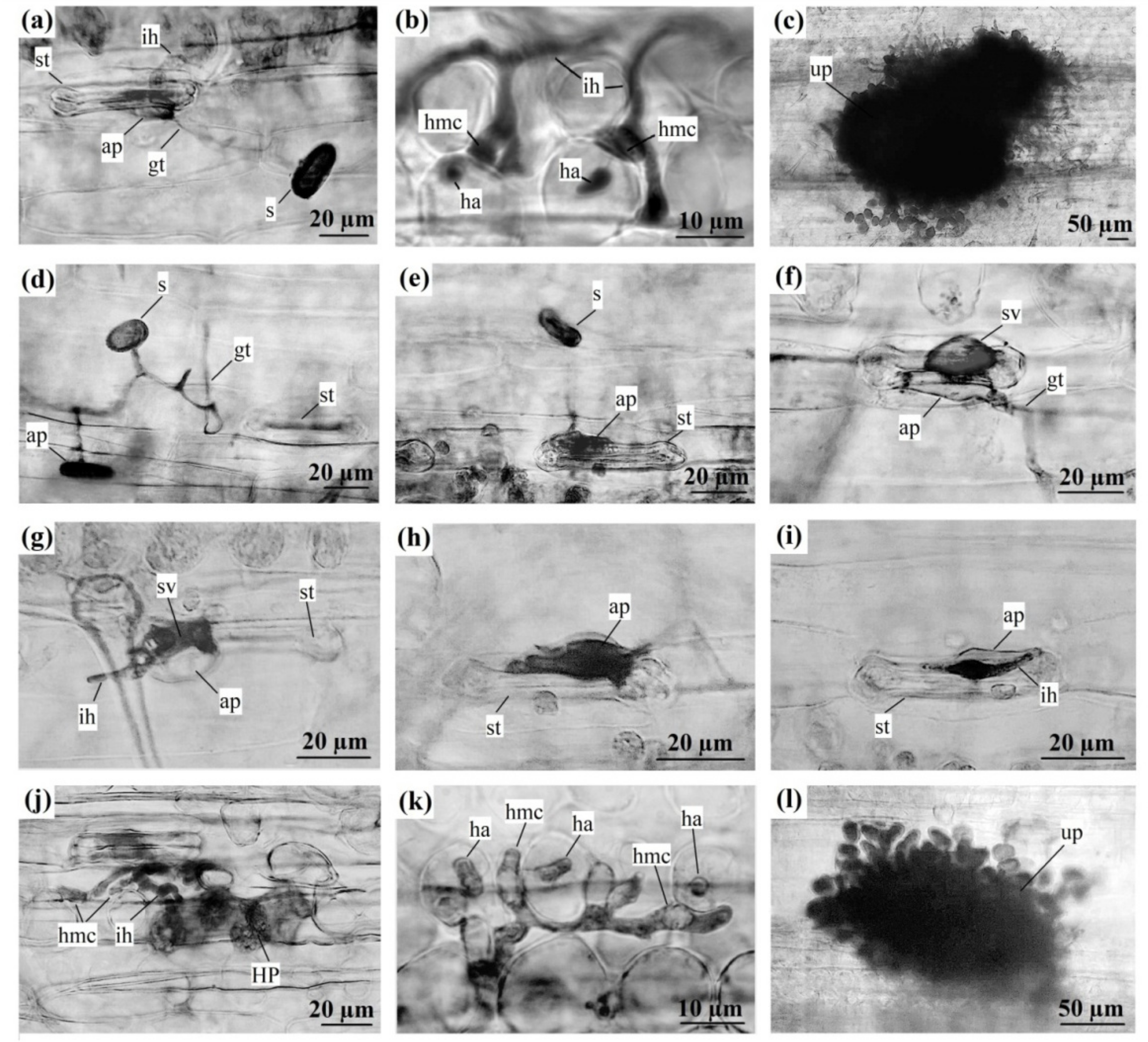 Agriculture 12 02116 g002