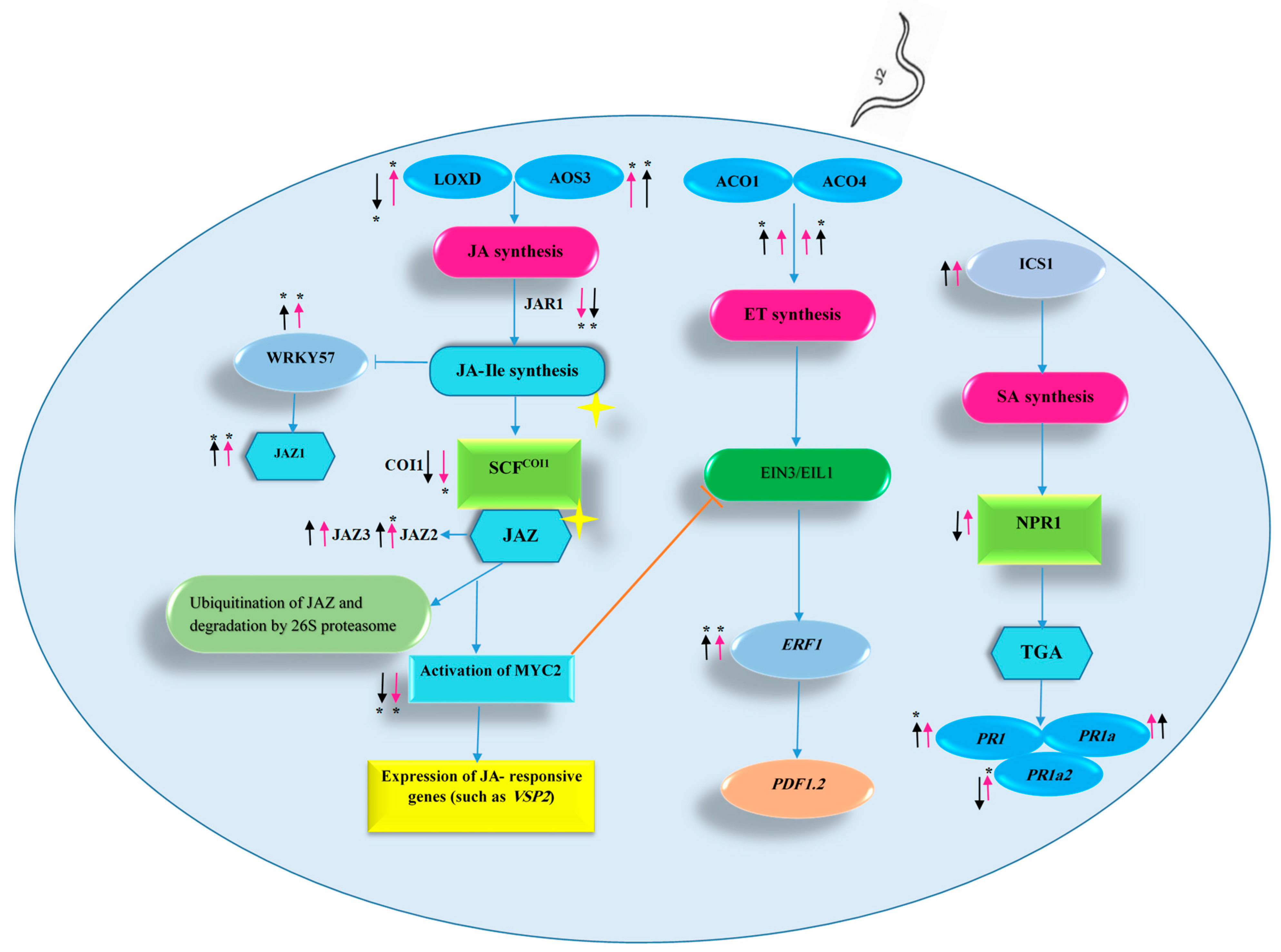 Agriculture 12 02122 g006