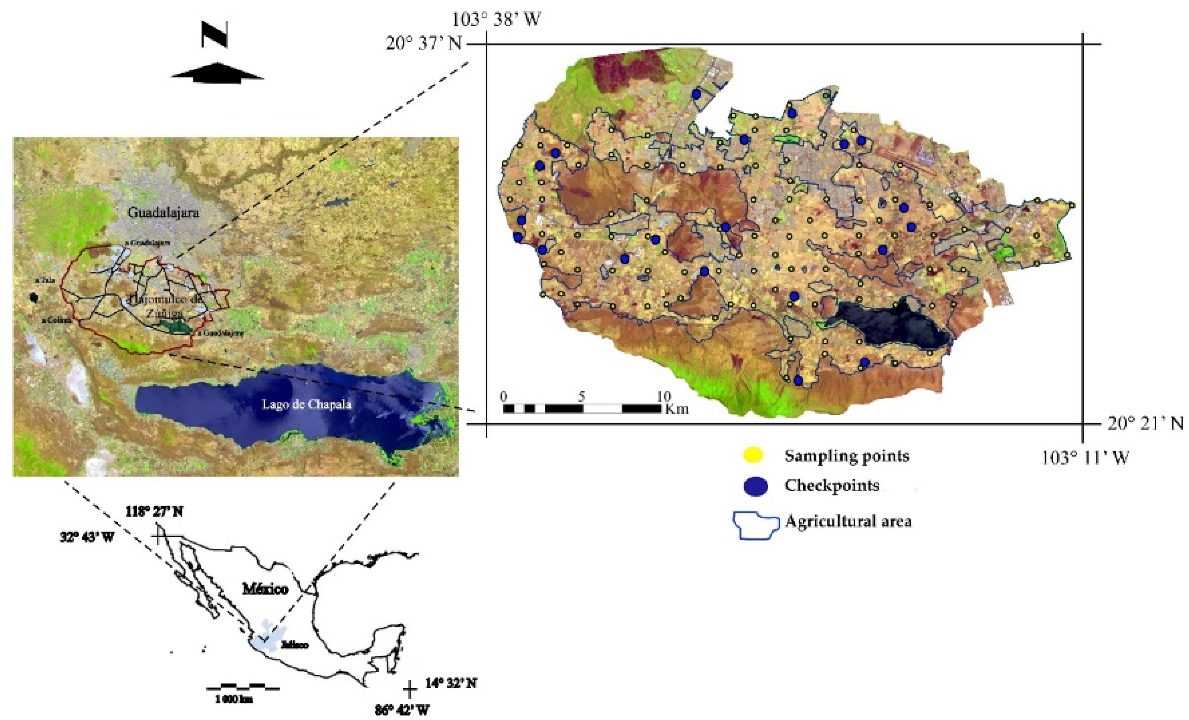 Agriculture 12 02132 g001