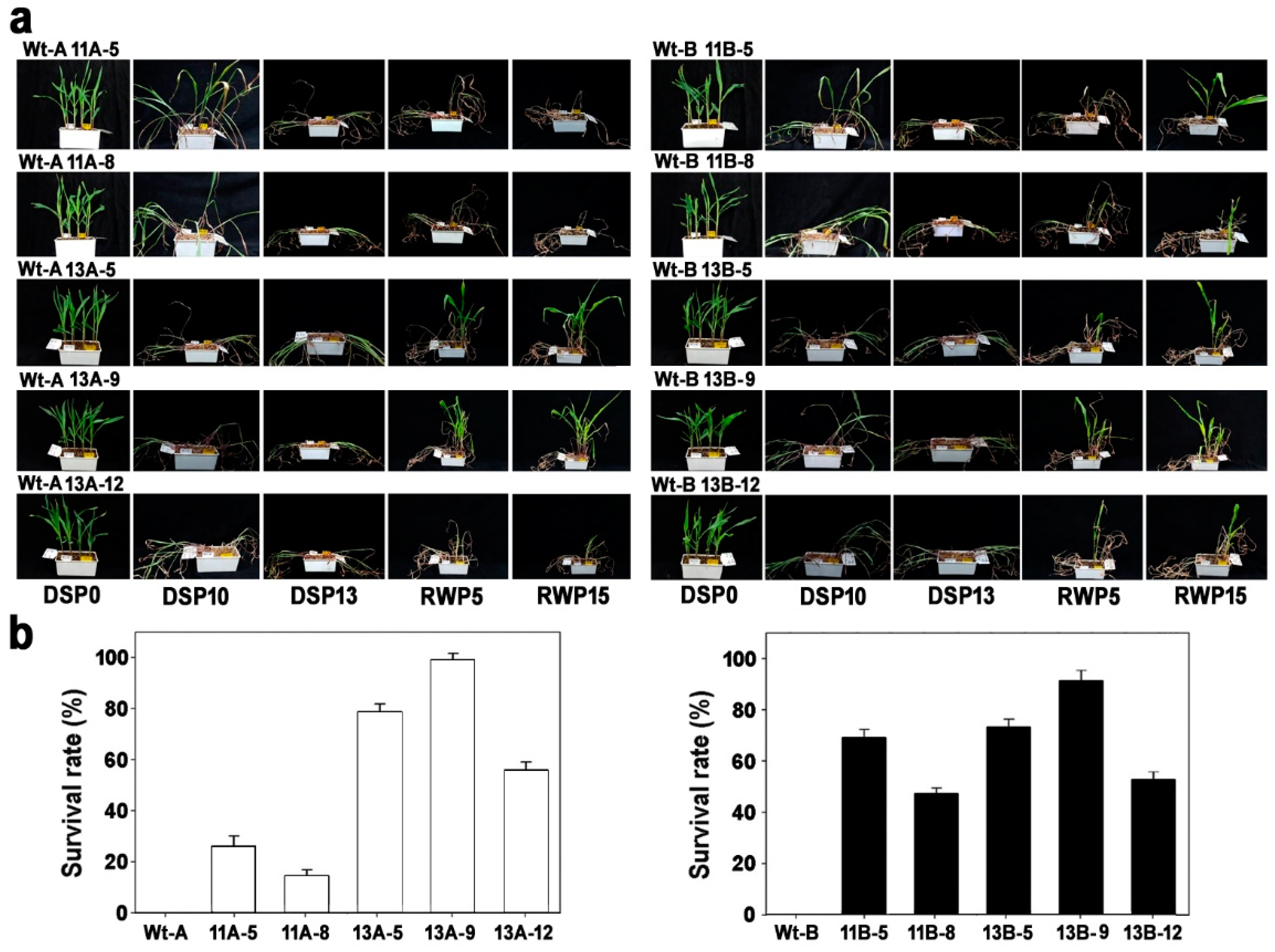 Agriculture 12 02140 g002