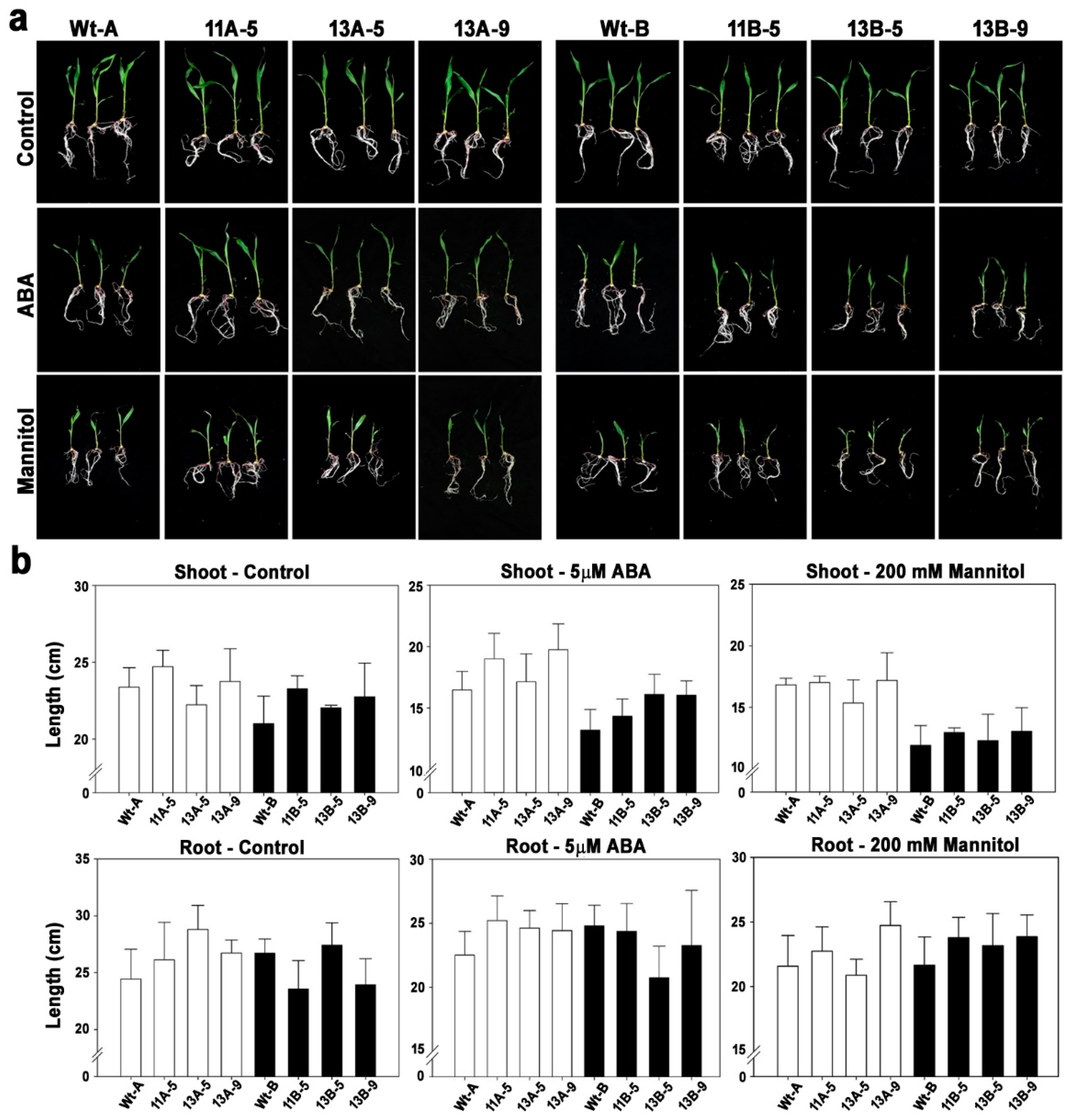 Agriculture 12 02140 g003