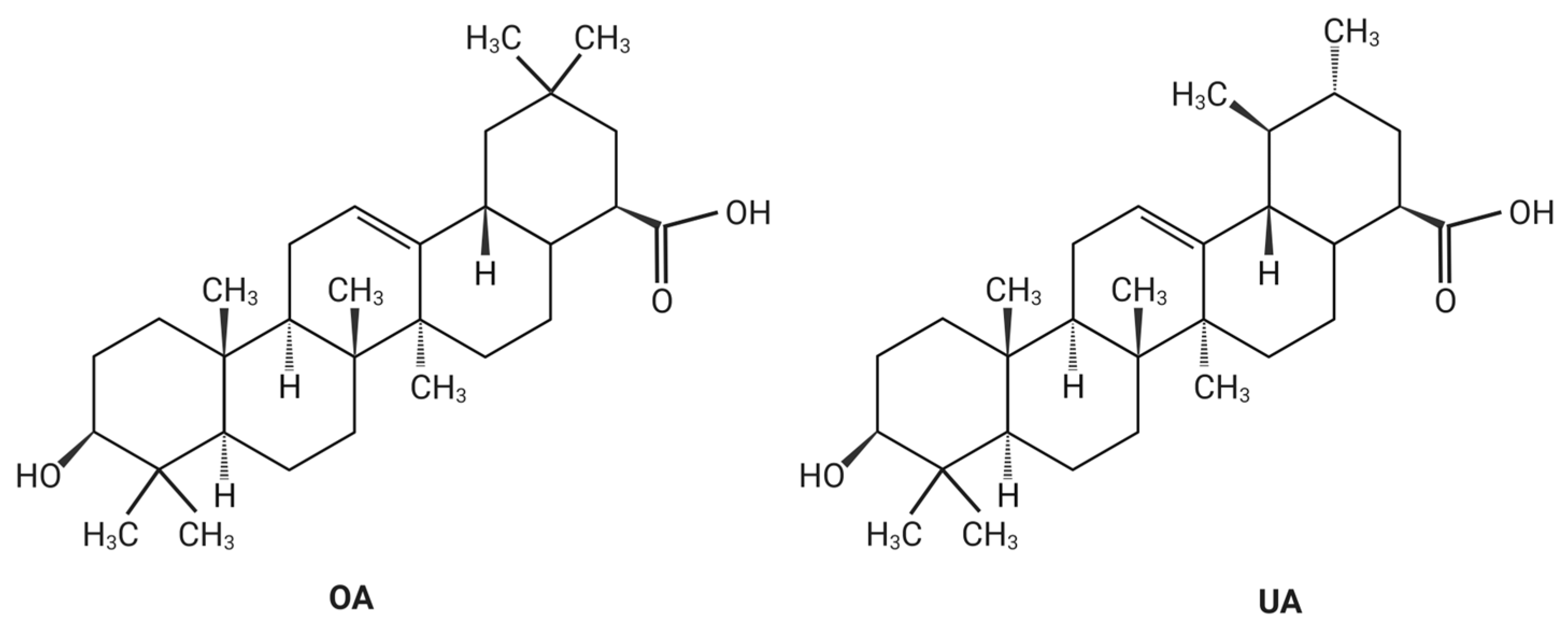 Agriculture 12 02142 g001