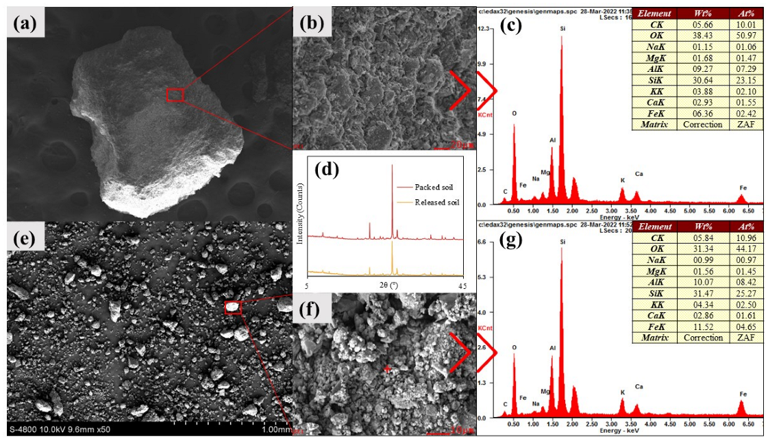Agriculture 12 02155 g006