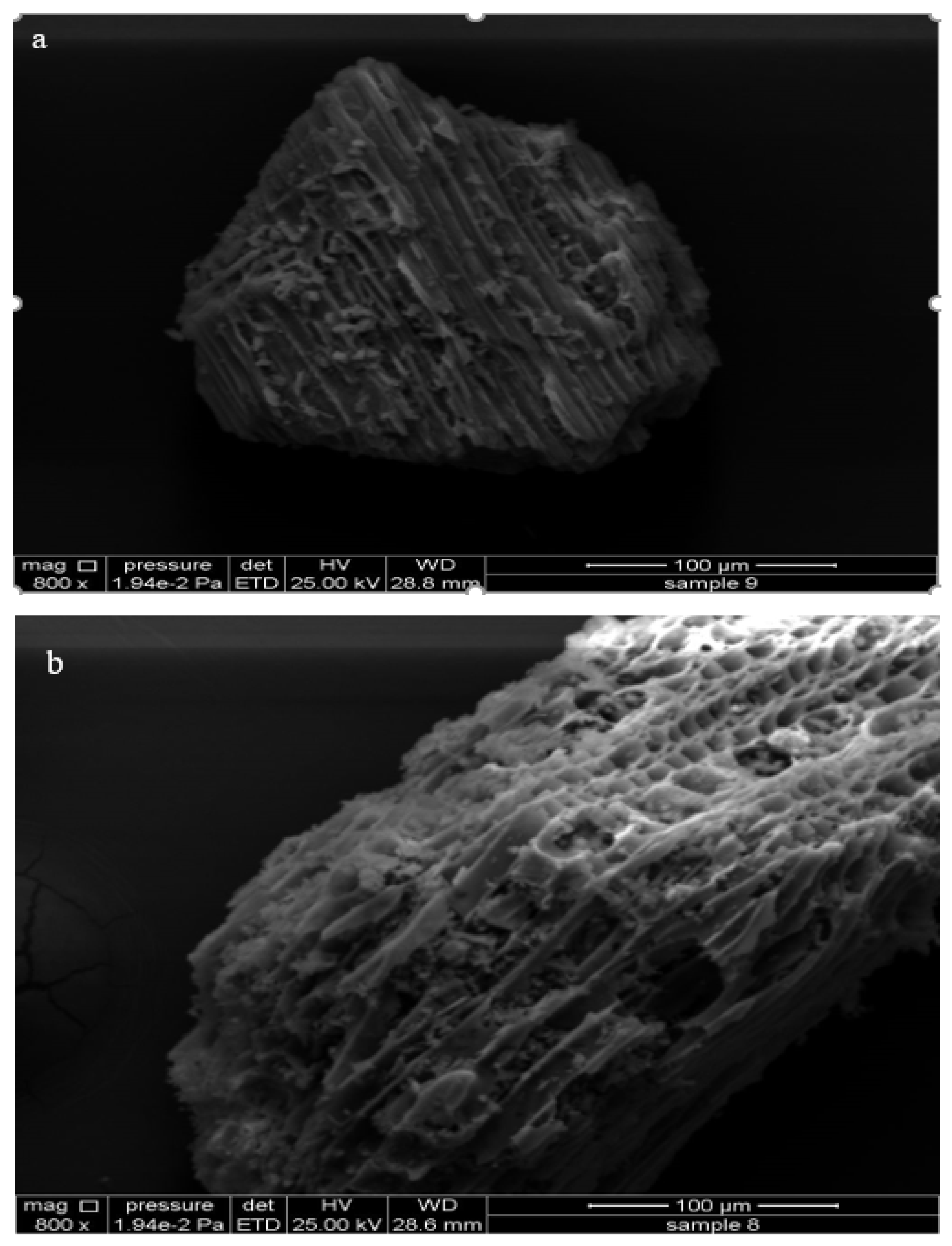 Agriculture 12 02157 g001