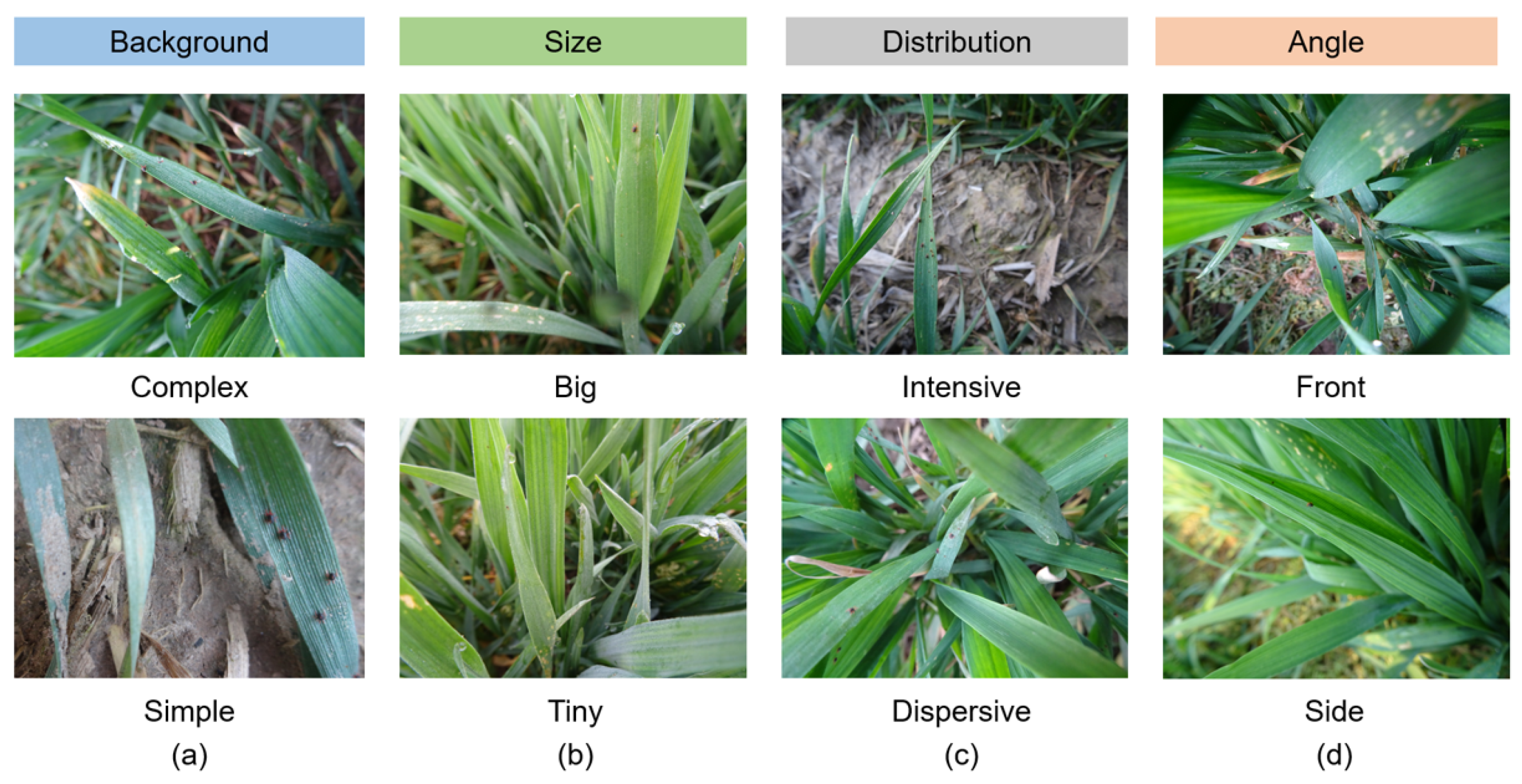 Agriculture 12 02160 g001 Agriculture 12 02160 g001