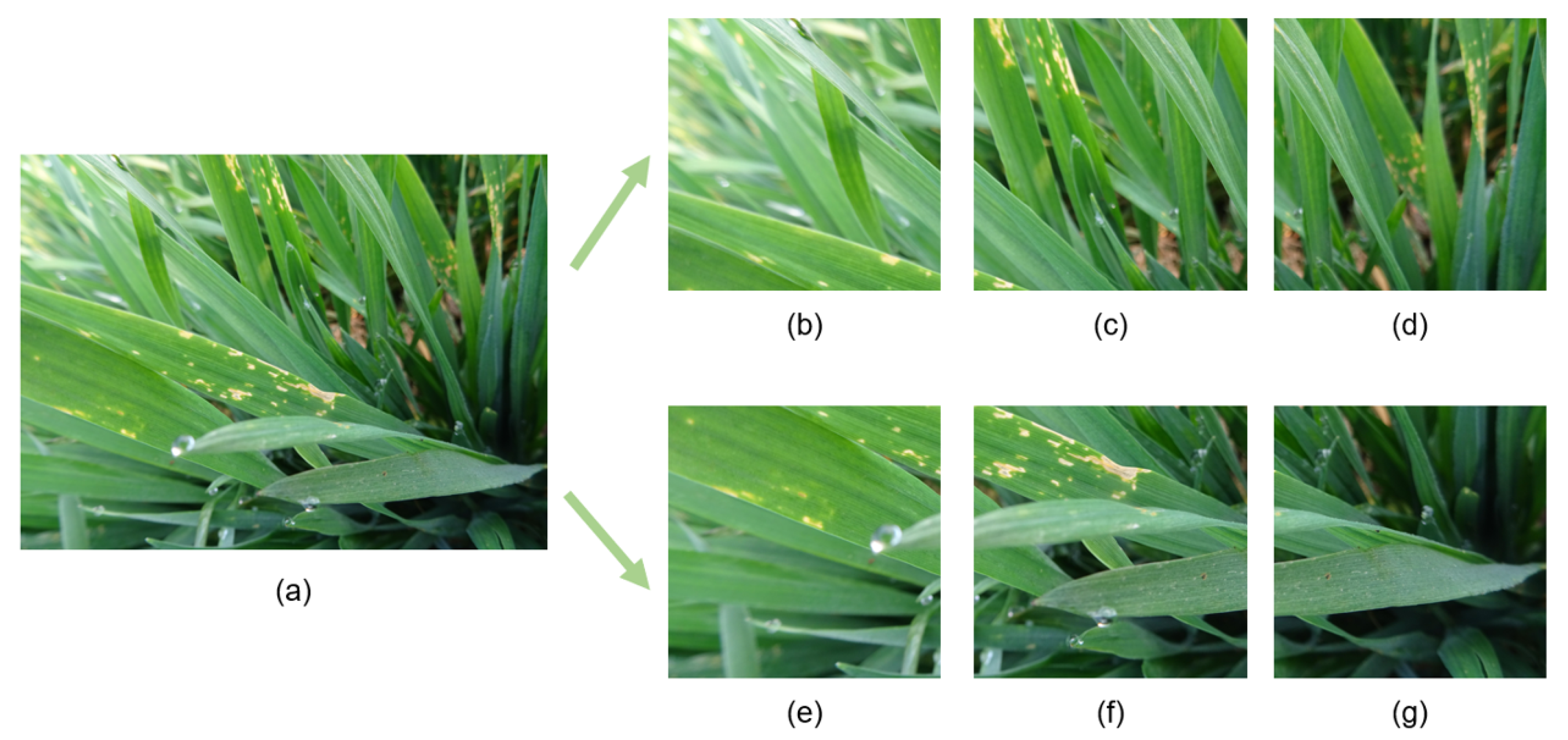 Agriculture 12 02160 g003 Agriculture 12 02160 g003