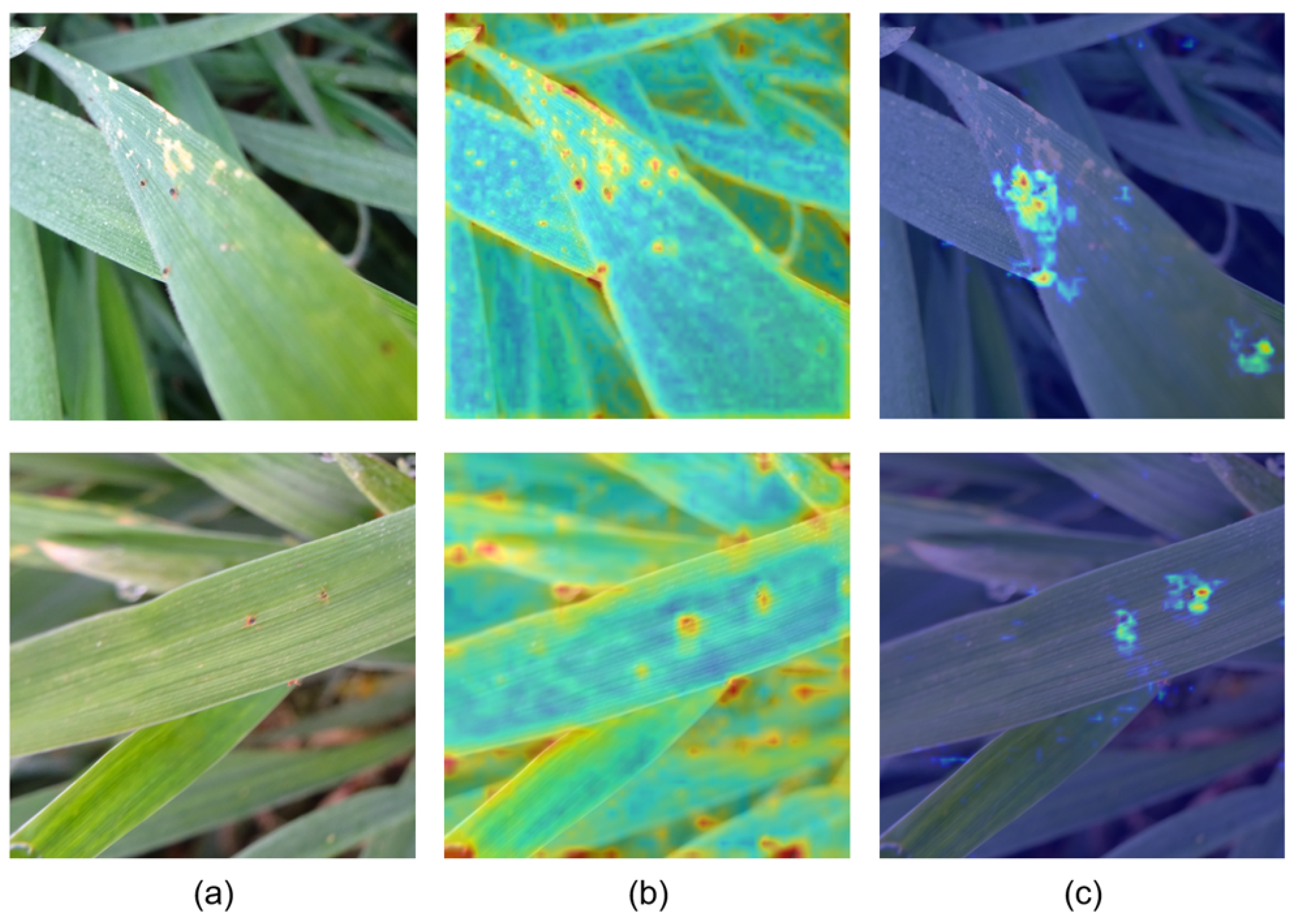 Agriculture 12 02160 g009 Agriculture 12 02160 g009