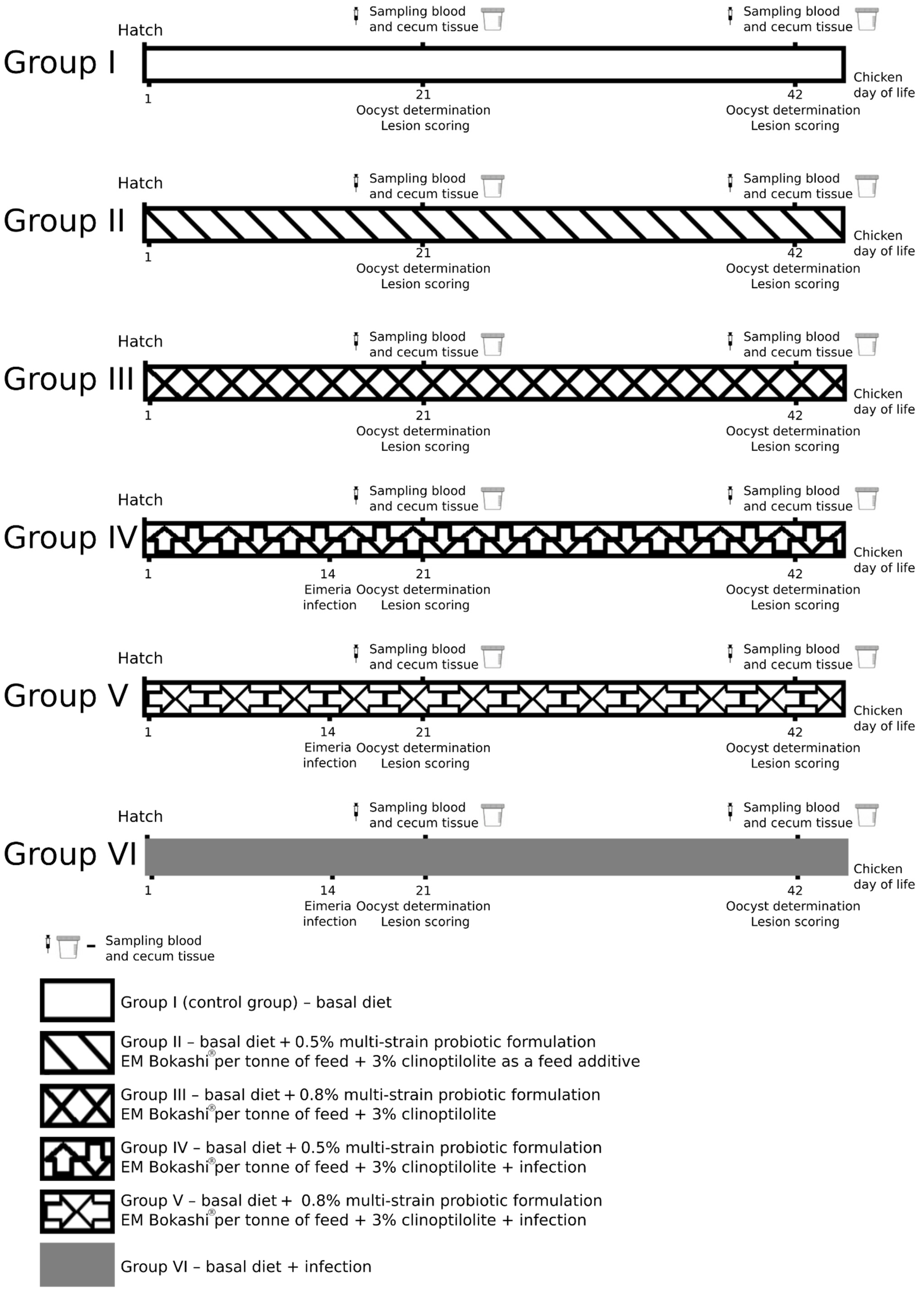 Agriculture 12 02176 g001