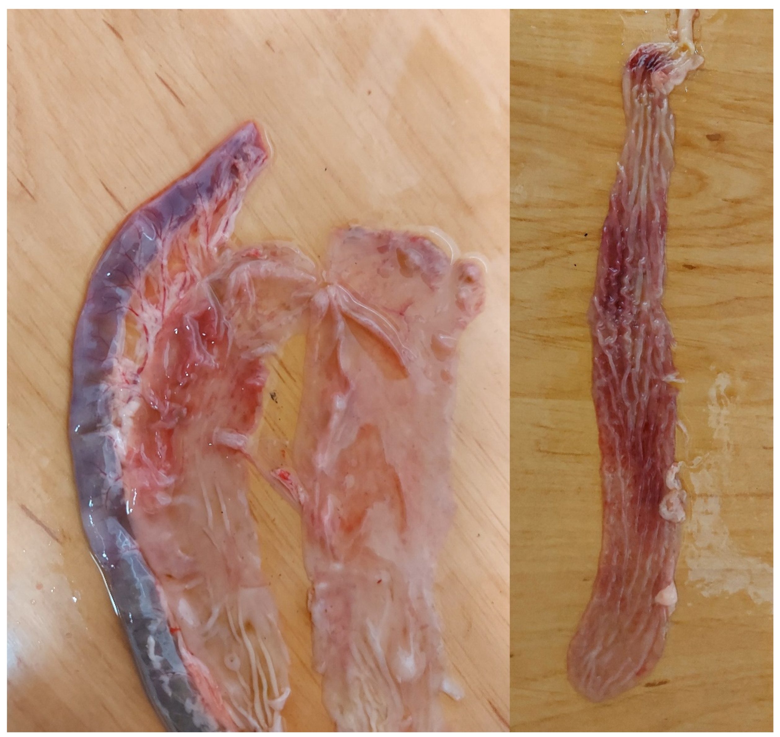 Agriculture 12 02176 g002