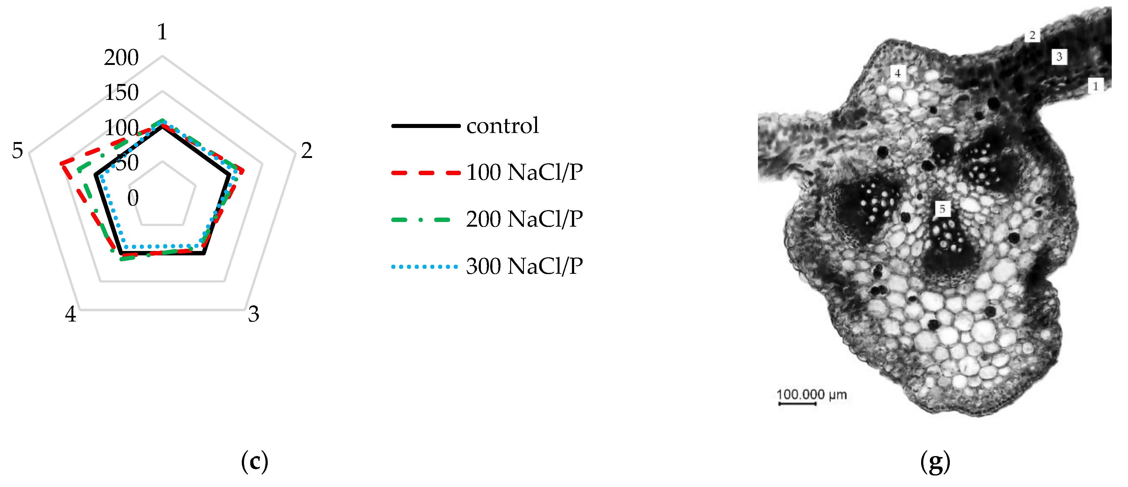 Agriculture 13 00001 g004b