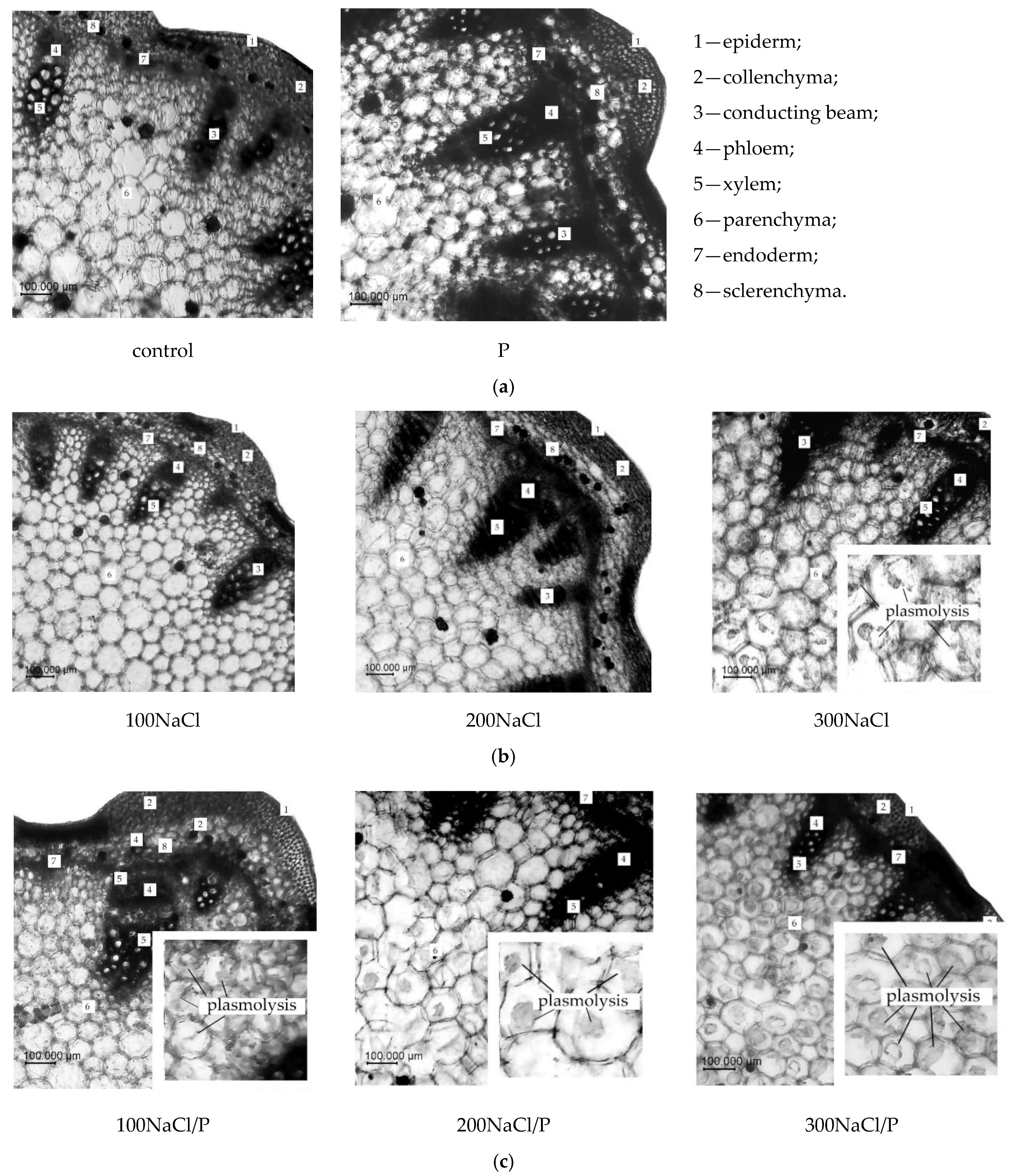 Agriculture 13 00001 g007