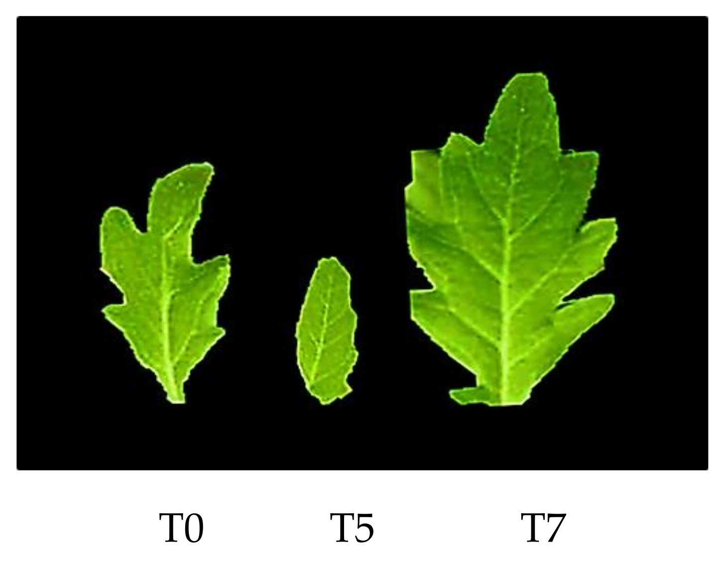 Agriculture 13 00006 g003 Agriculture 13 00006 g003