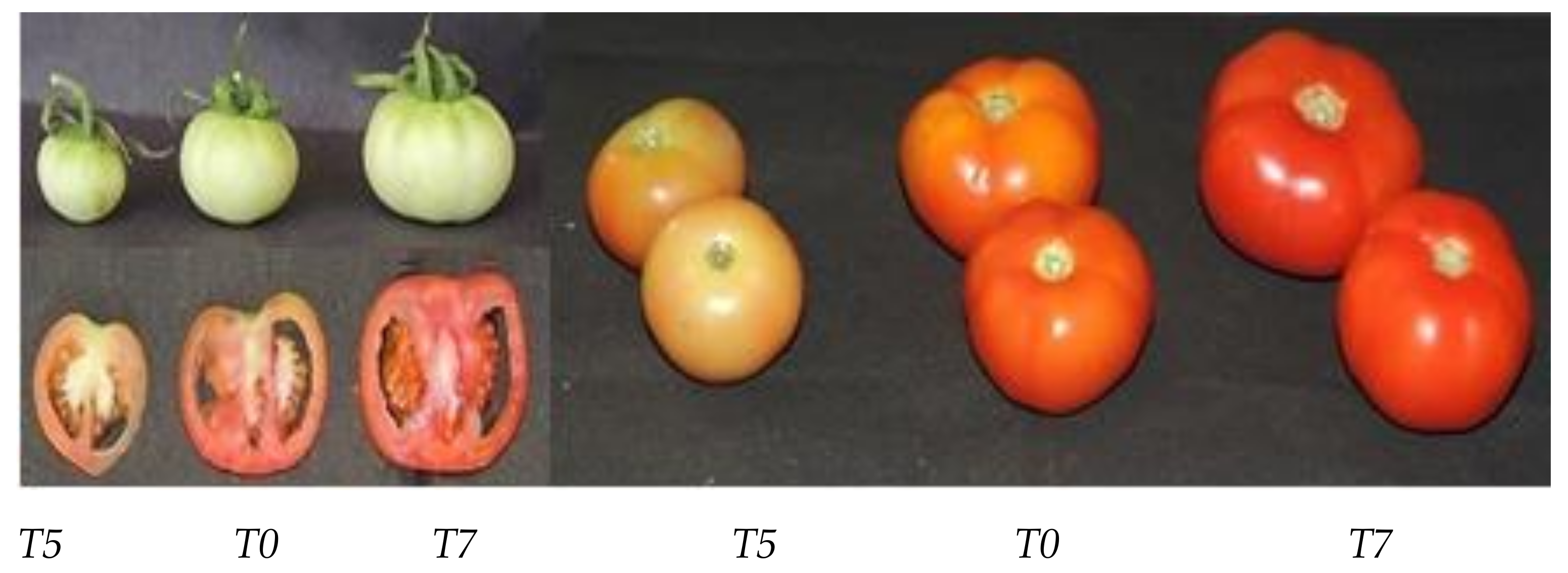 Agriculture 13 00006 g008 Agriculture 13 00006 g008