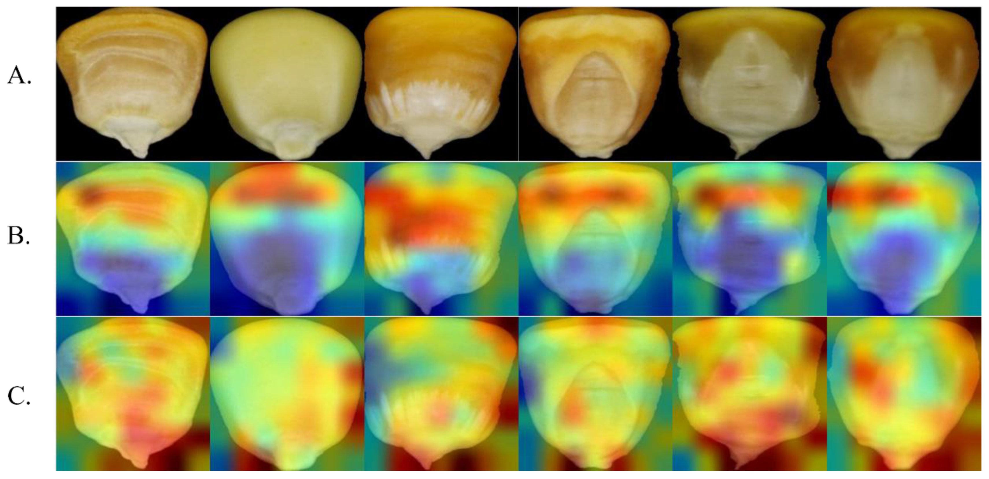 Agriculture 13 00011 g012