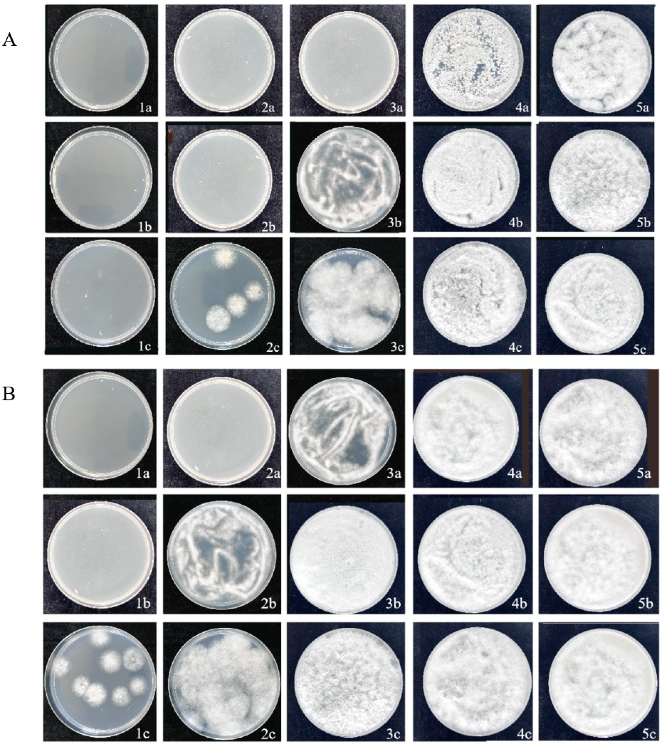 Agriculture 13 00015 g003 Agriculture 13 00015 g003