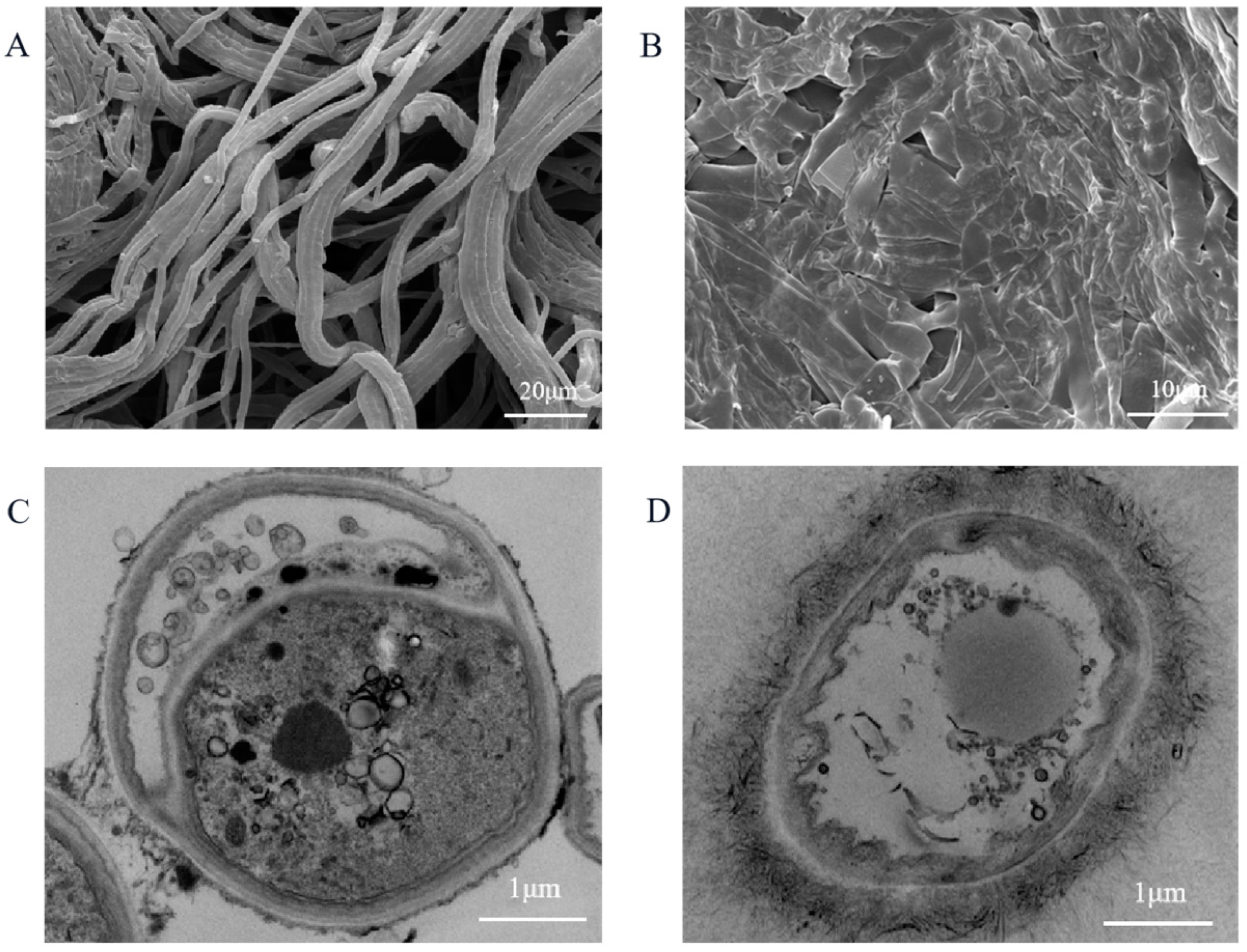 Agriculture 13 00015 g004 Agriculture 13 00015 g004