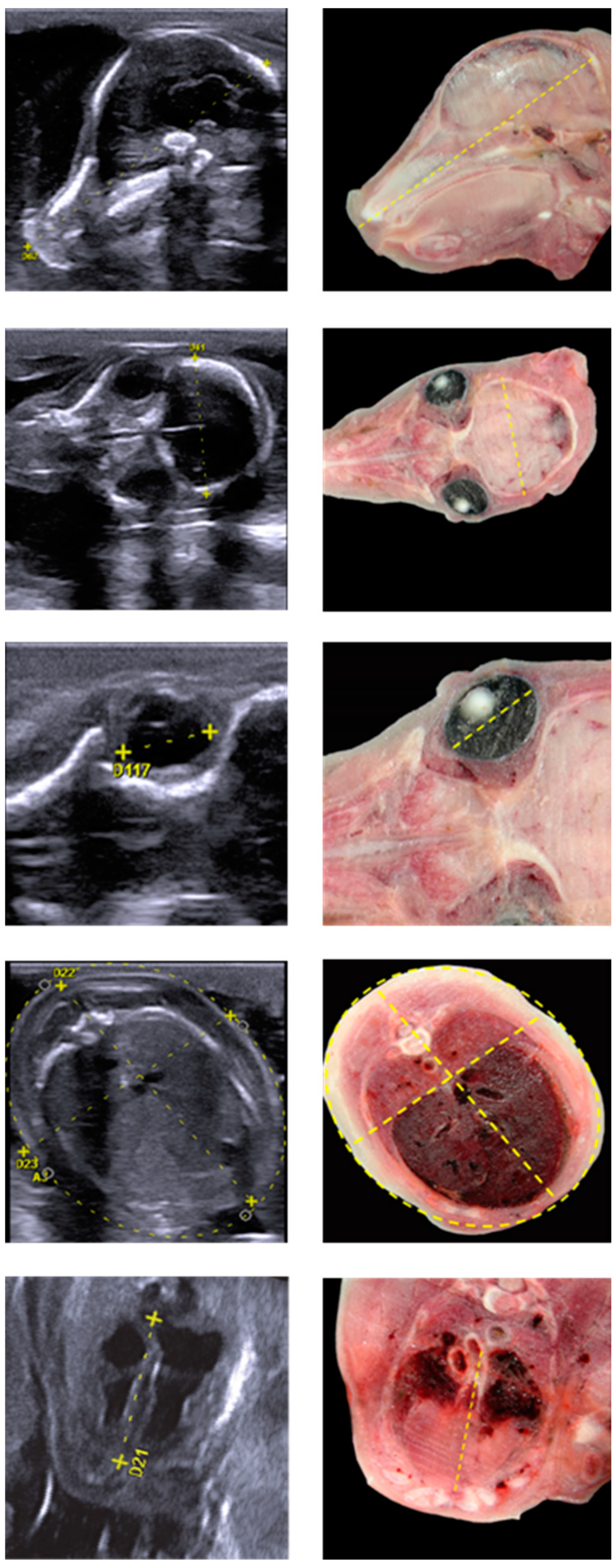 Agriculture 13 00016 g001