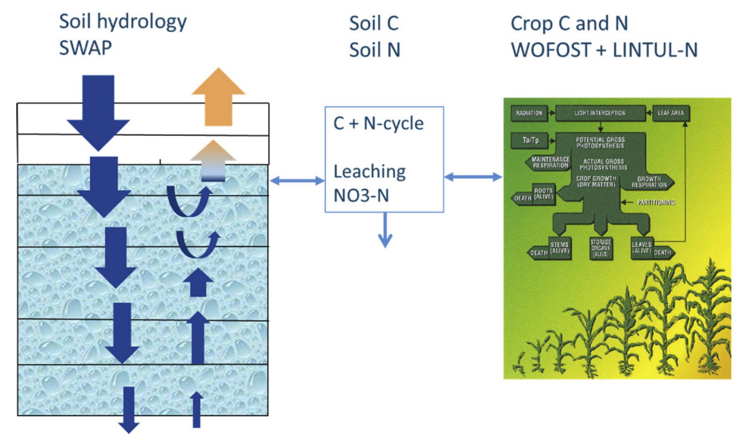 Agriculture 13 00017 g003 Agriculture 13 00017 g003
