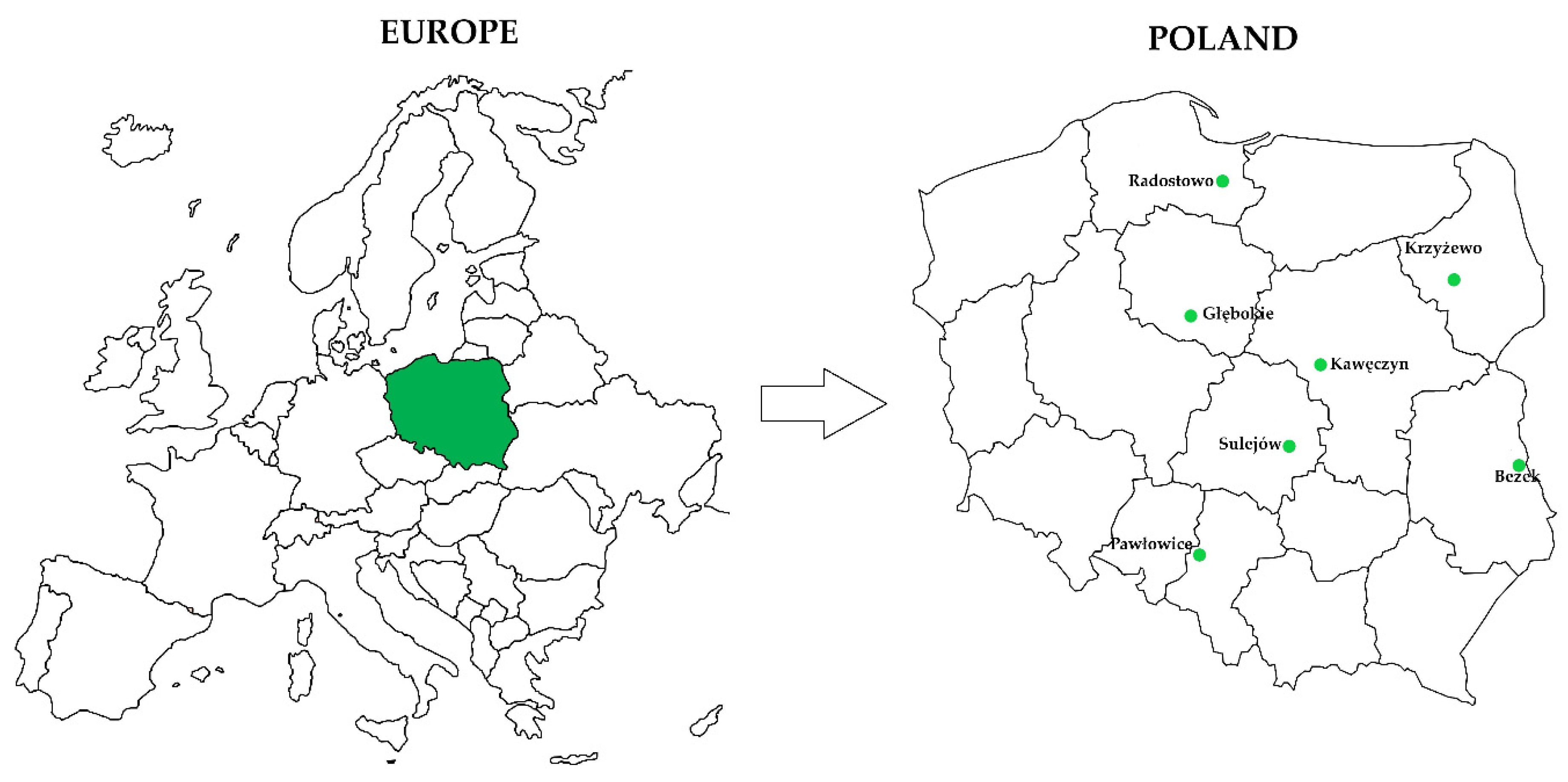 Agriculture 13 00029 g001