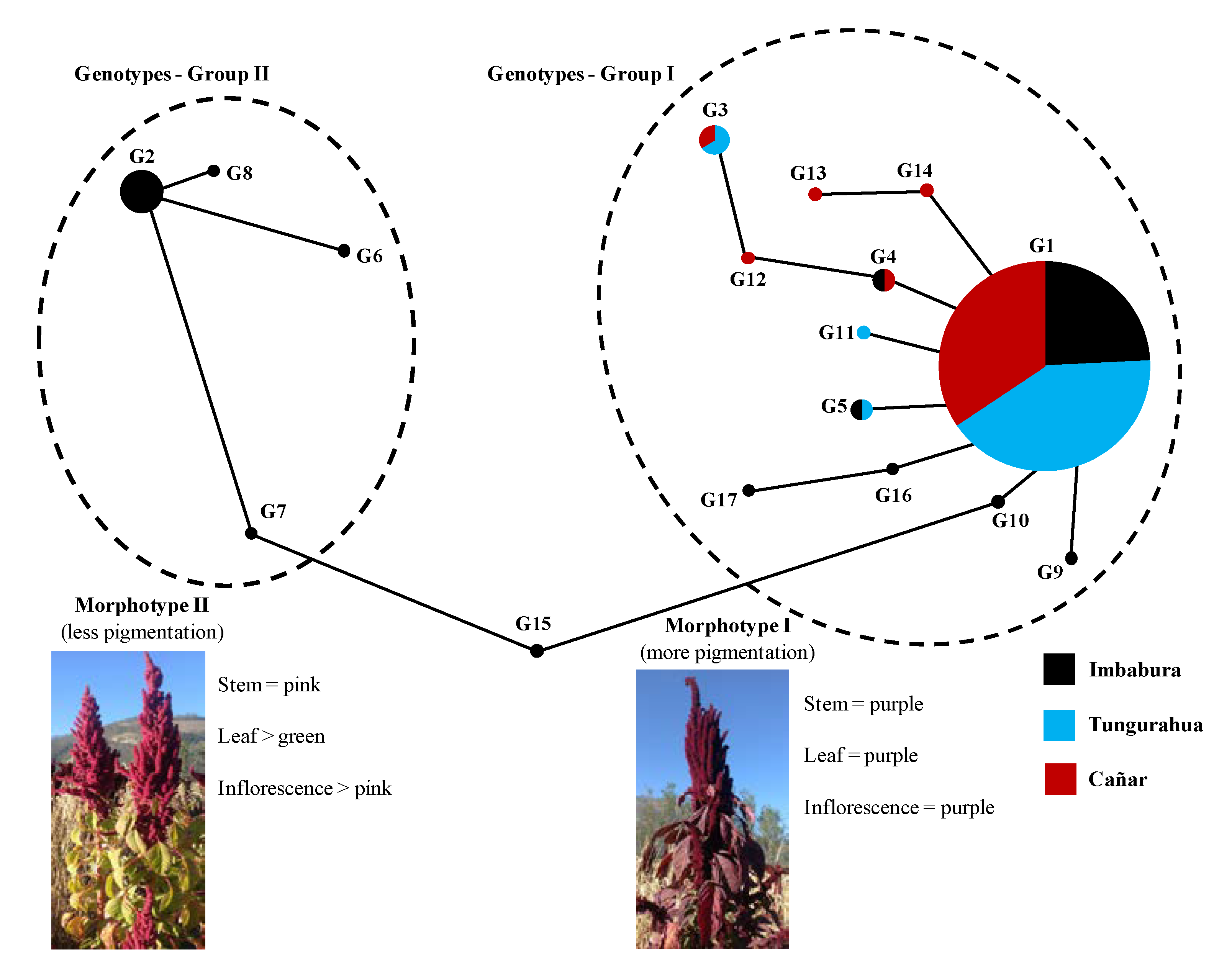Agriculture 13 00034 g004 Agriculture 13 00034 g004