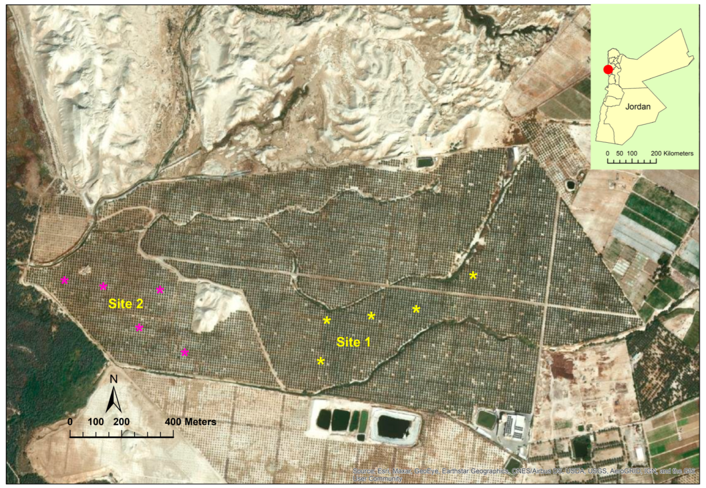 Agriculture 13 00038 g001