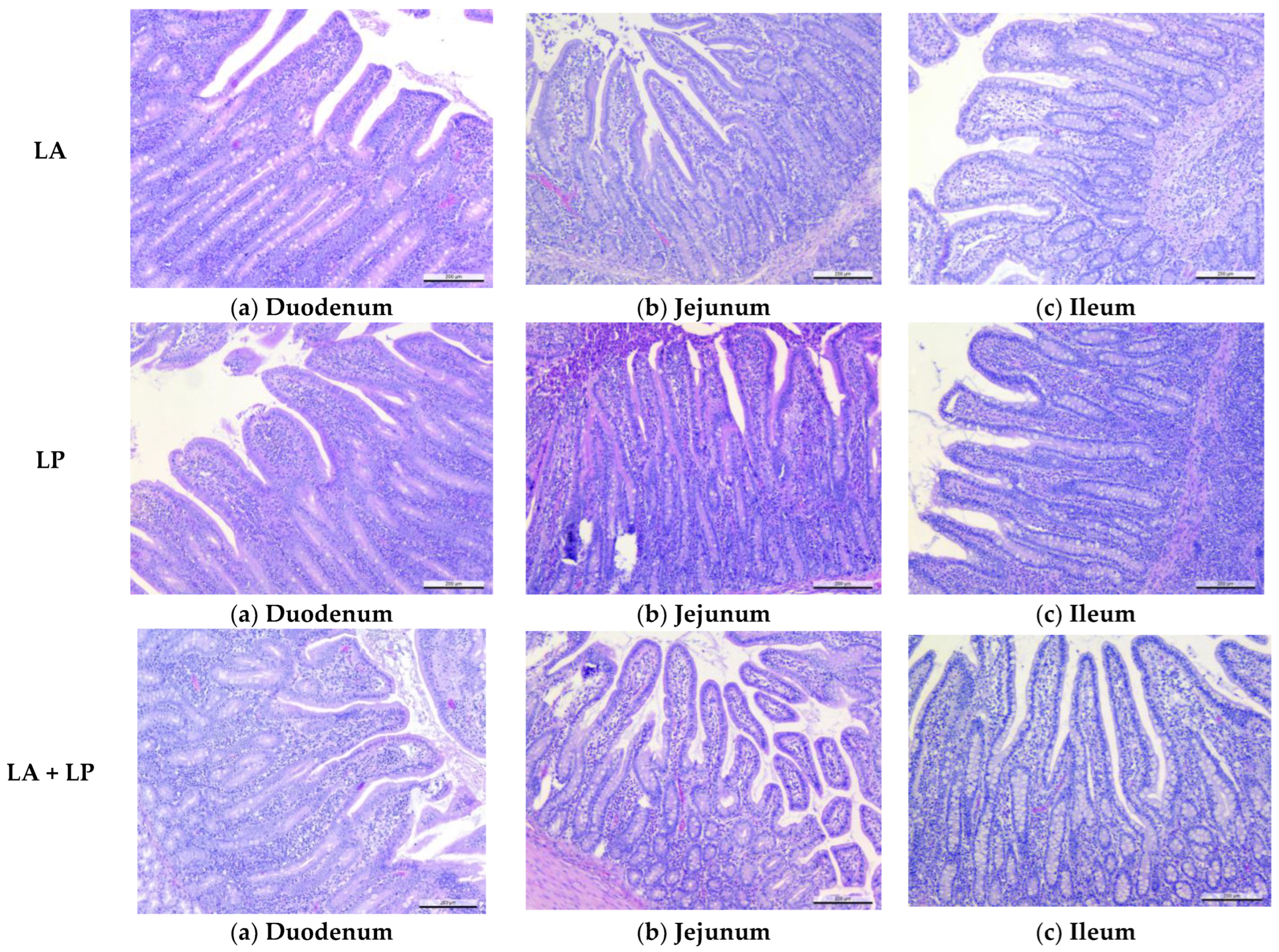 Agriculture 13 00039 g002b