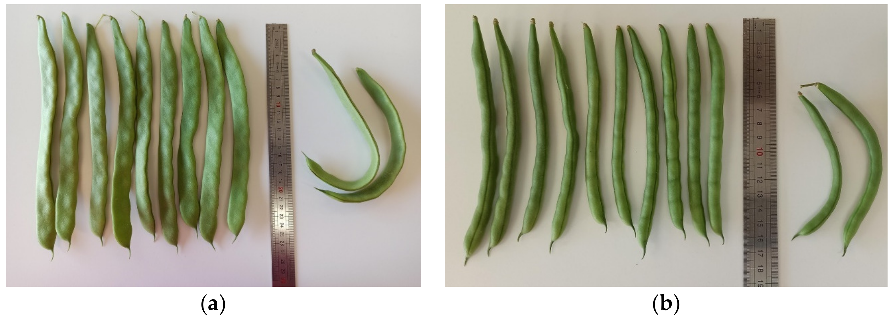 Agriculture 13 00046 g0a1