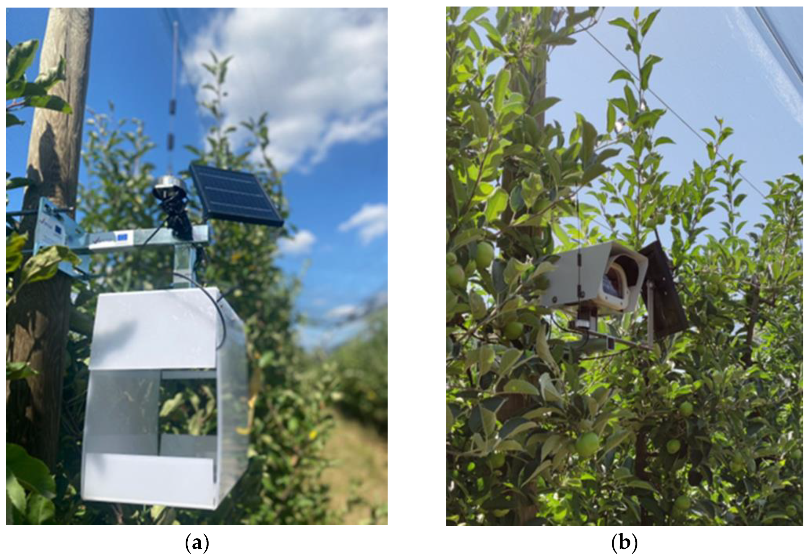 Agriculture 13 00067 g007