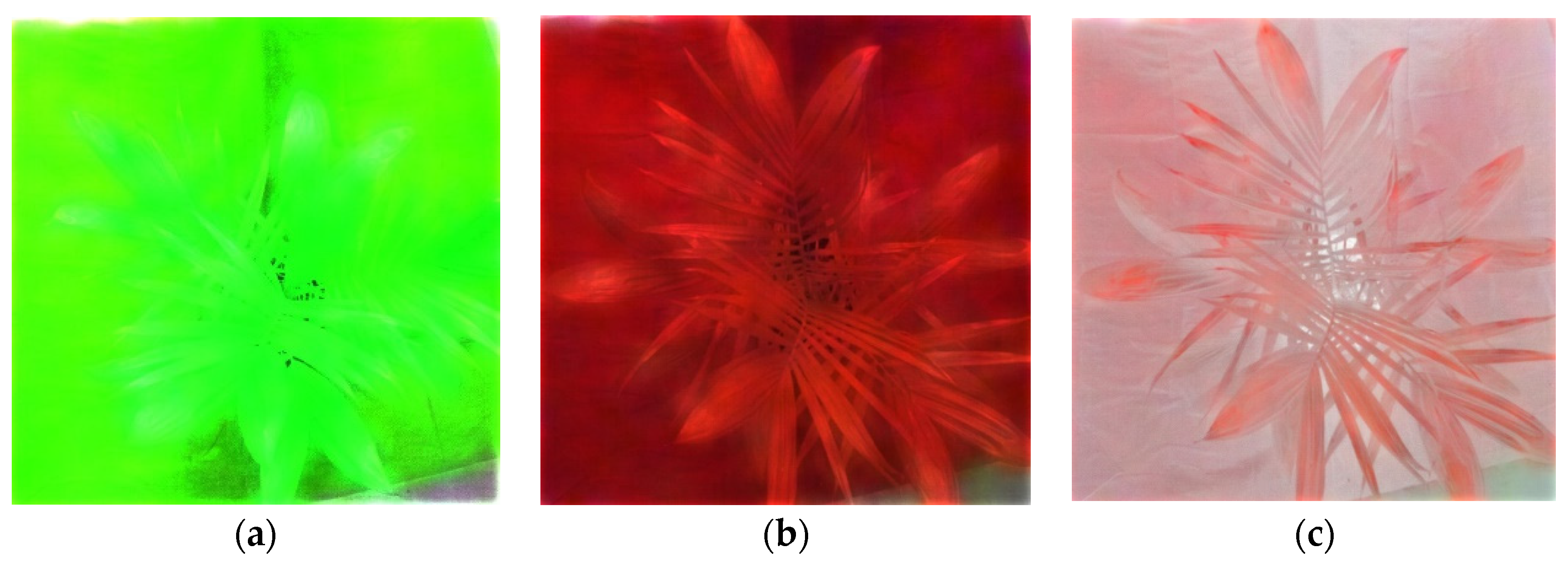 Agriculture 13 00069 g011