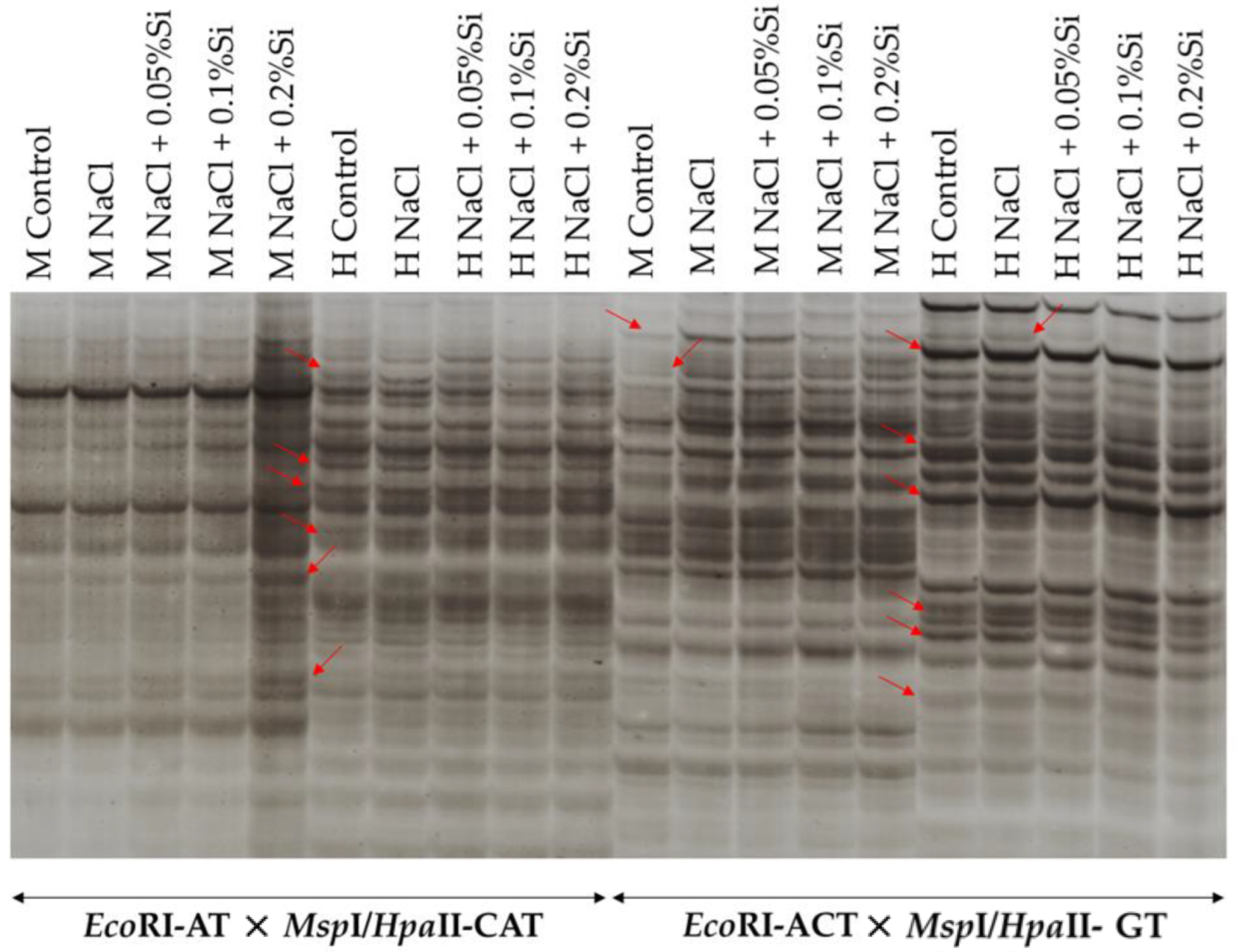 Agriculture 13 00081 g006 Agriculture 13 00081 g006