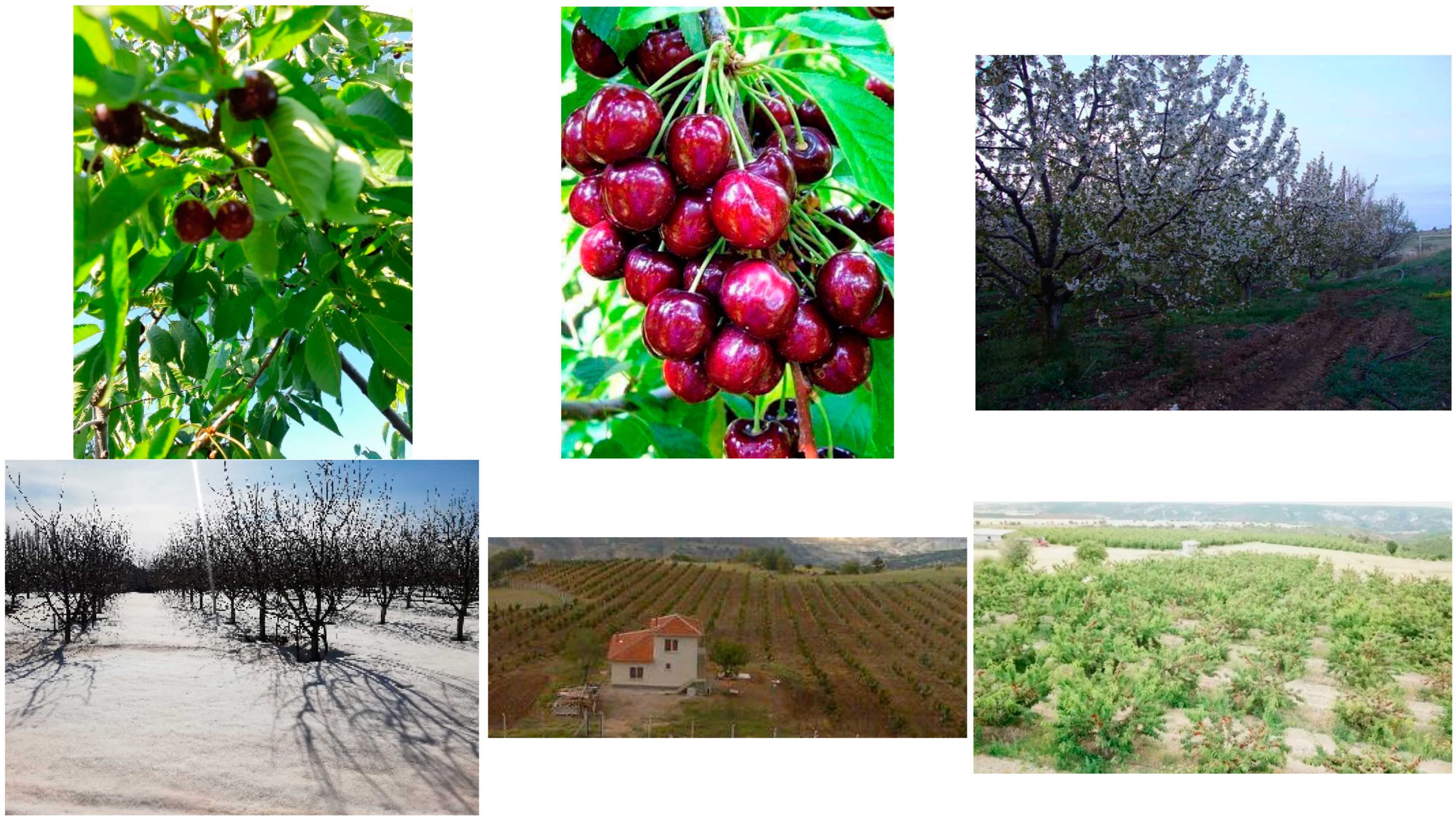 Agriculture 13 00092 g005 550