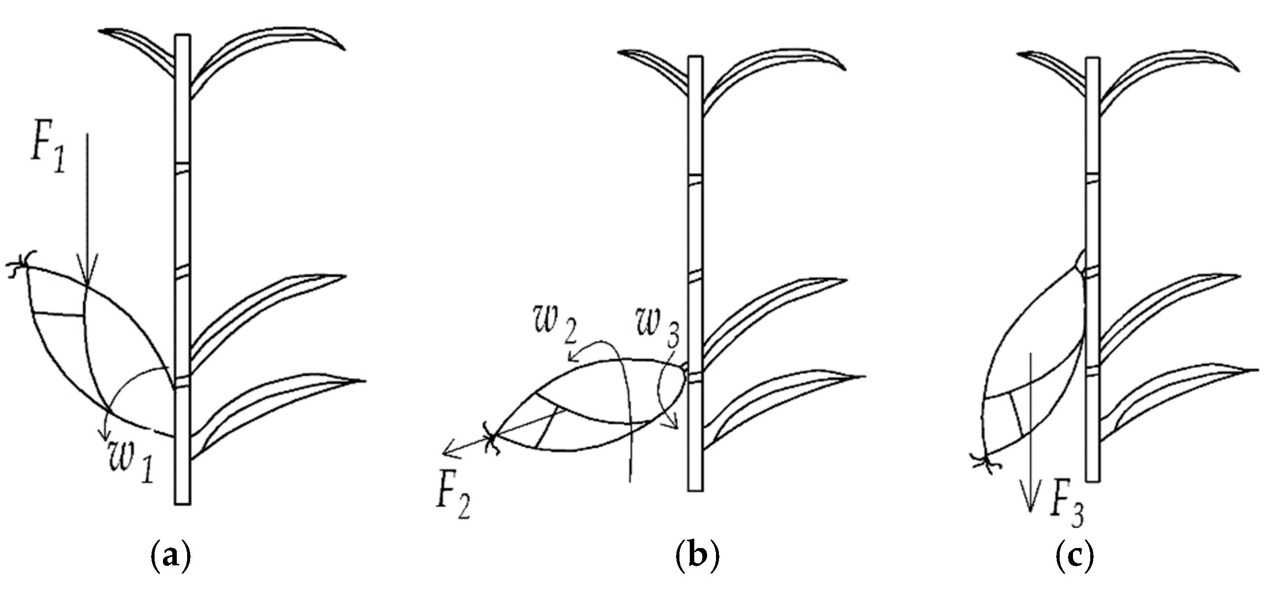 Agriculture 13 00093 g001